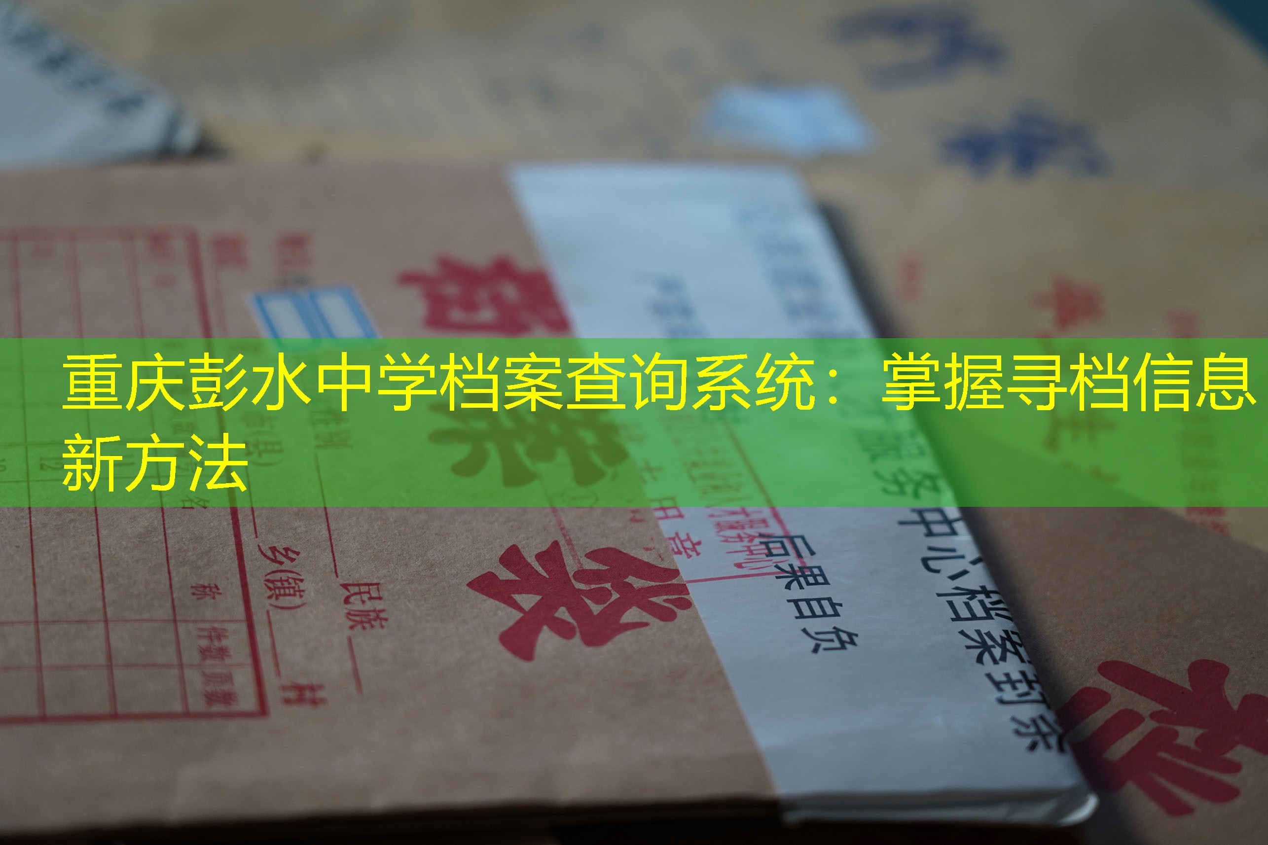 档案查询