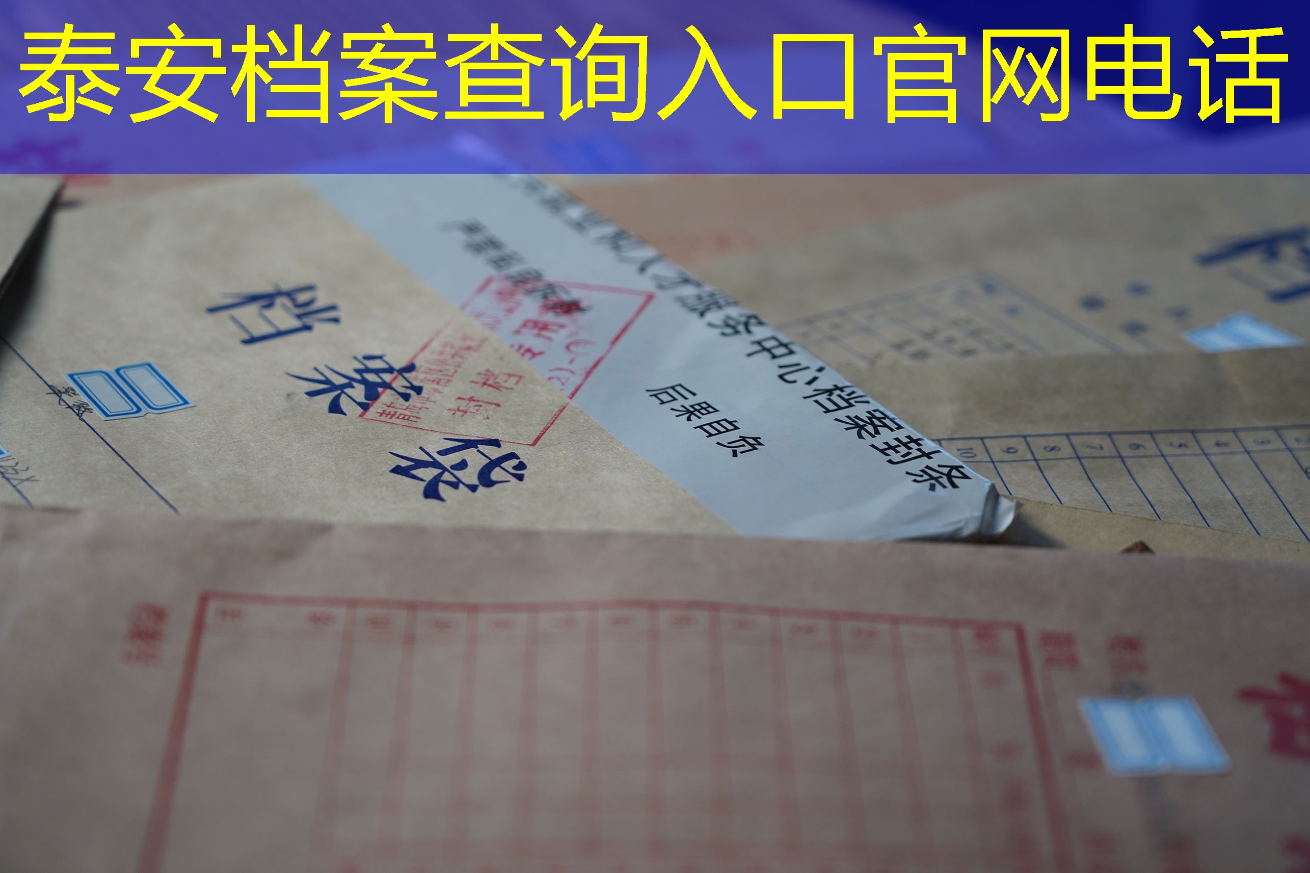 档案查询