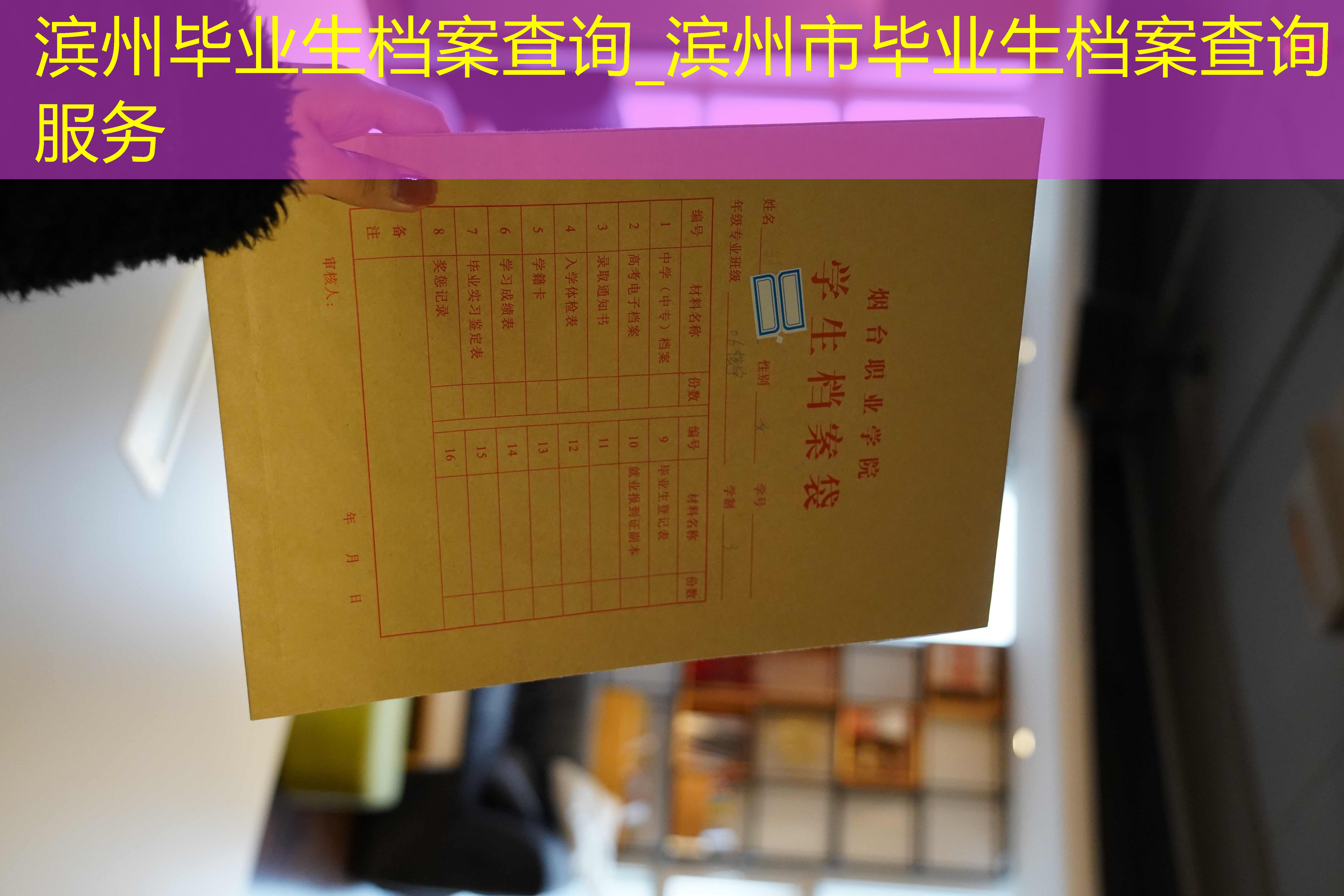 档案查询