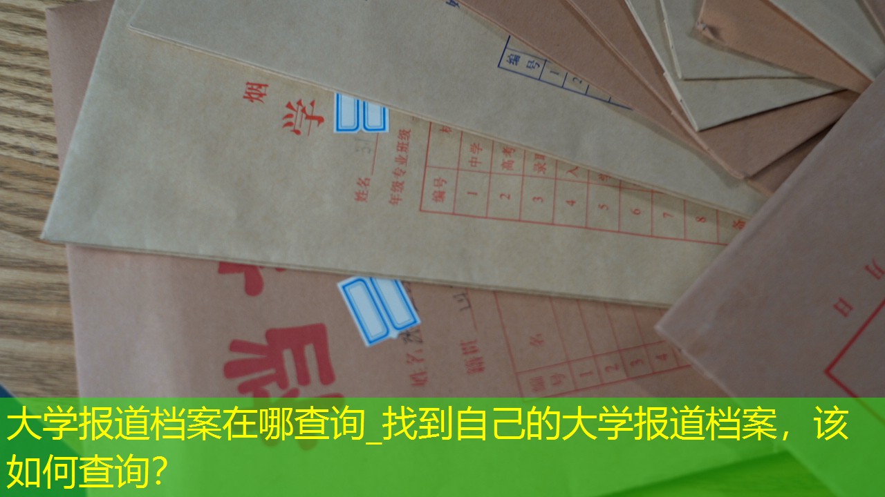 档案查询