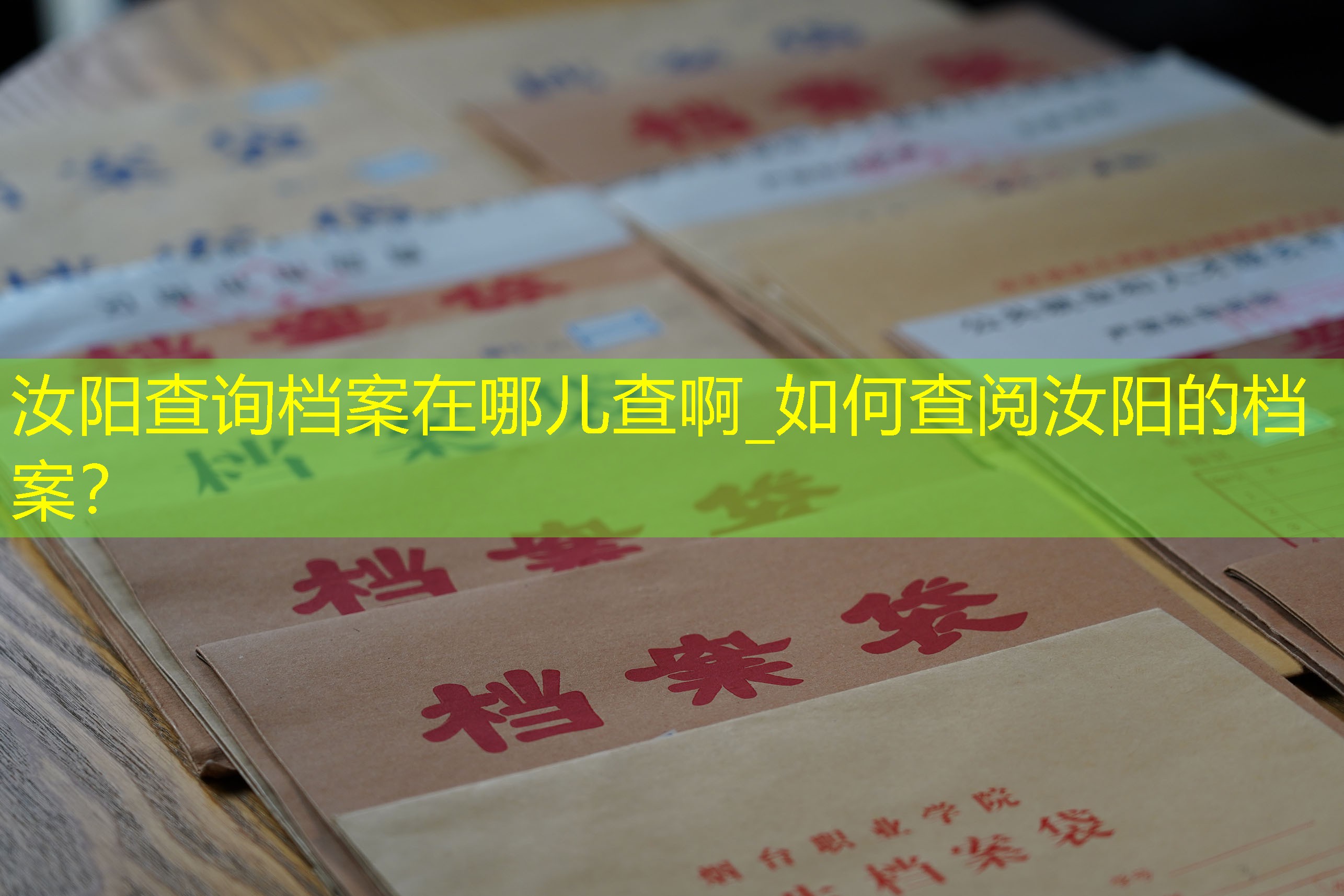 档案查询