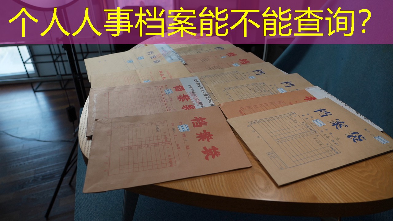 档案查询