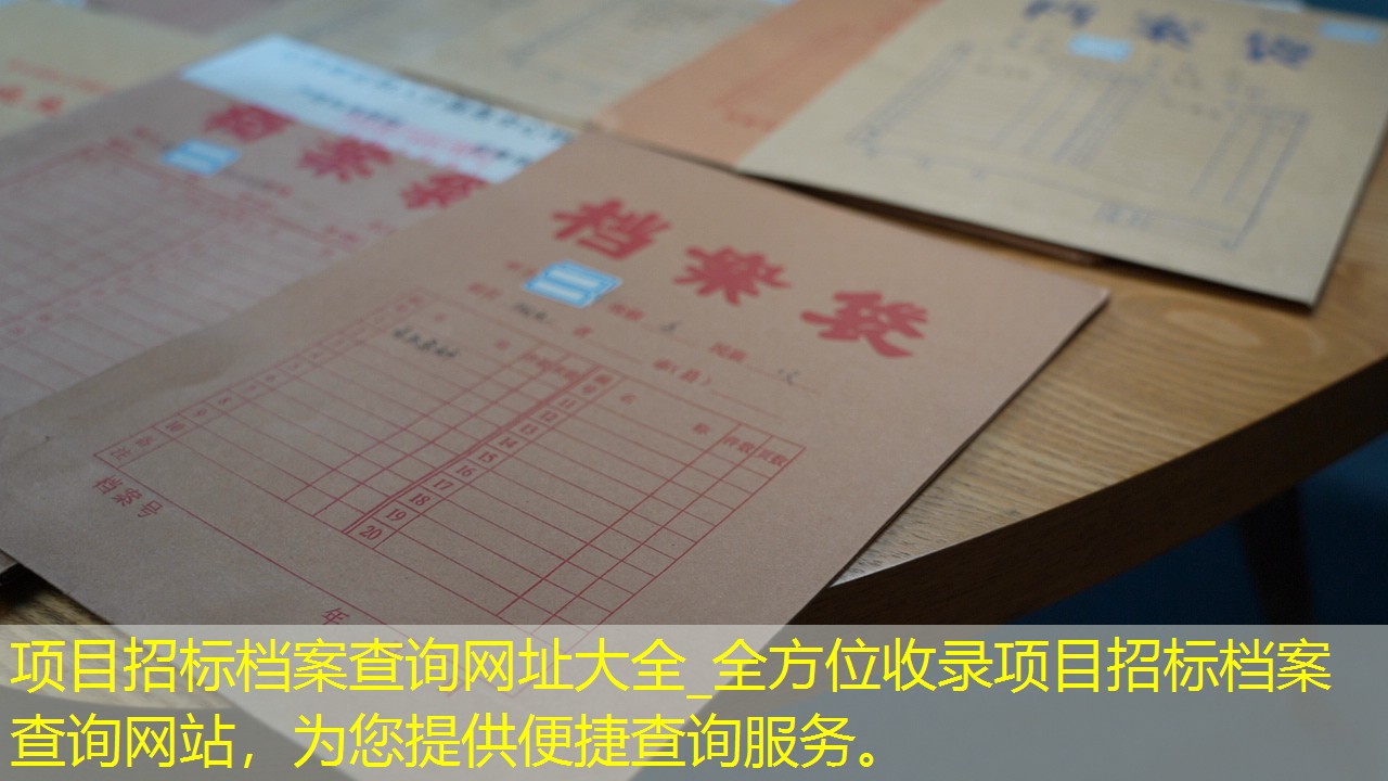 档案查询