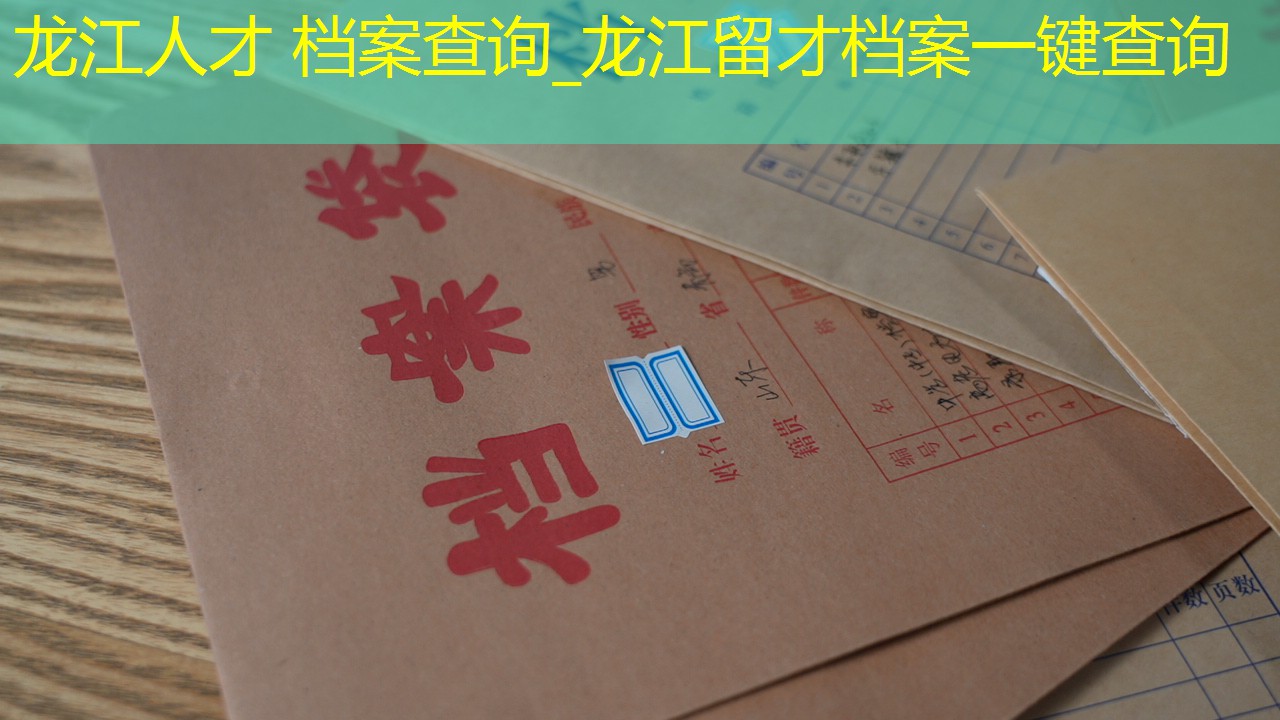 档案查询
