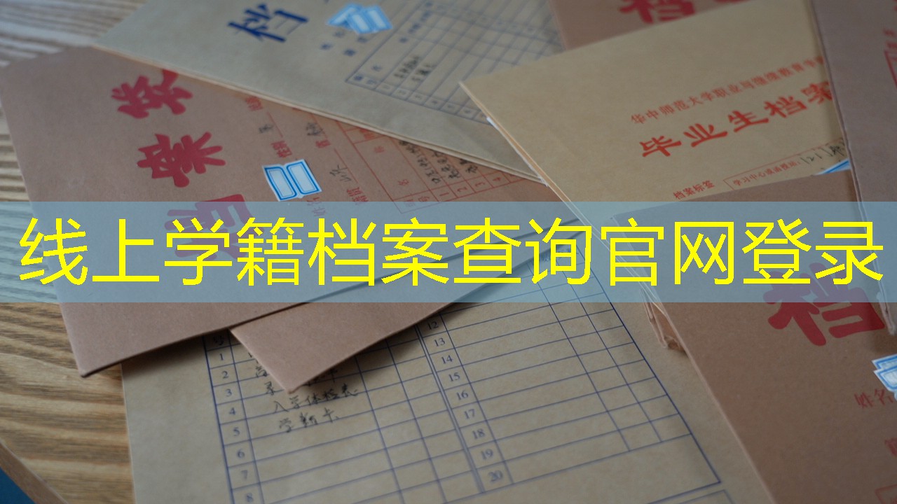 档案查询