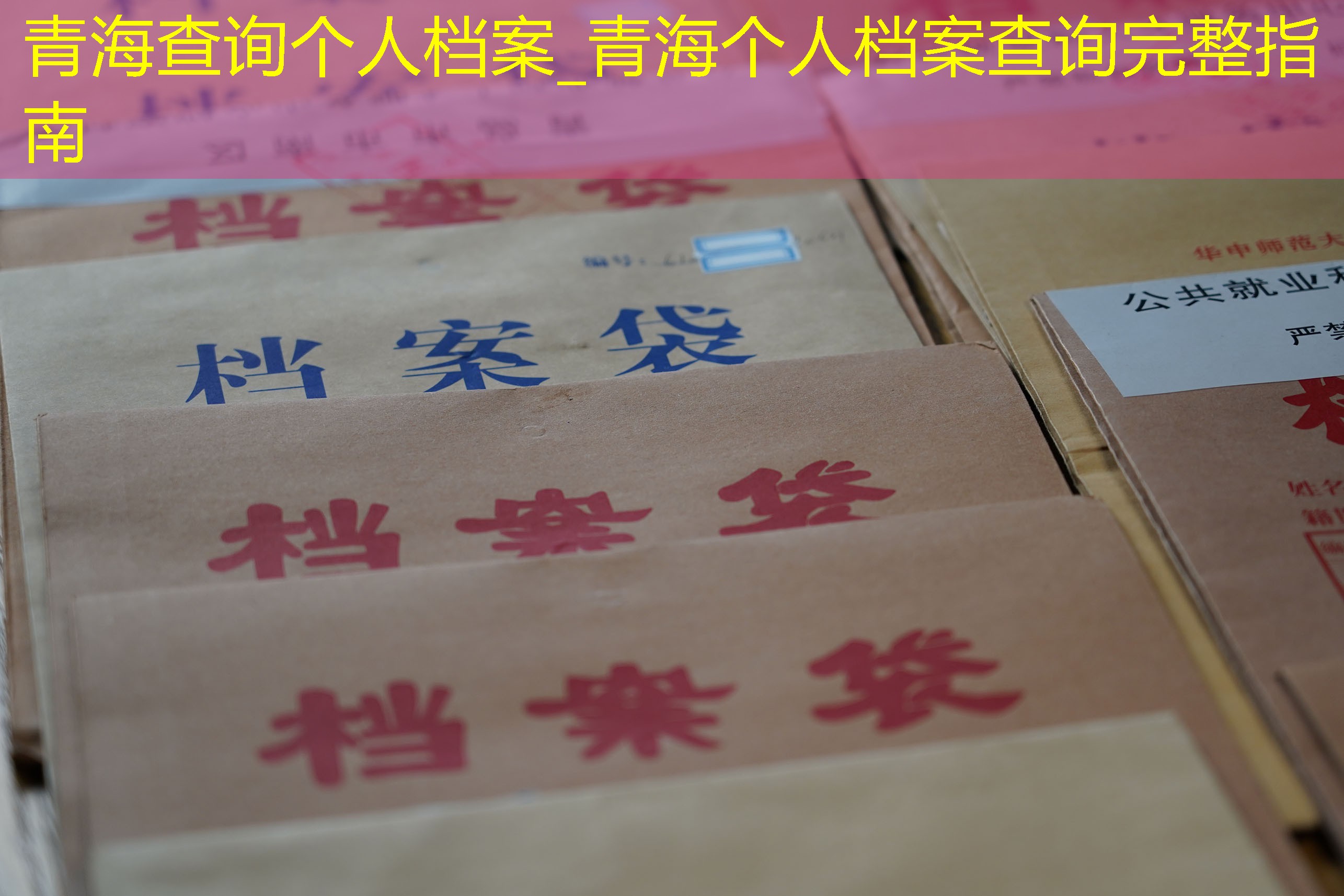 档案查询