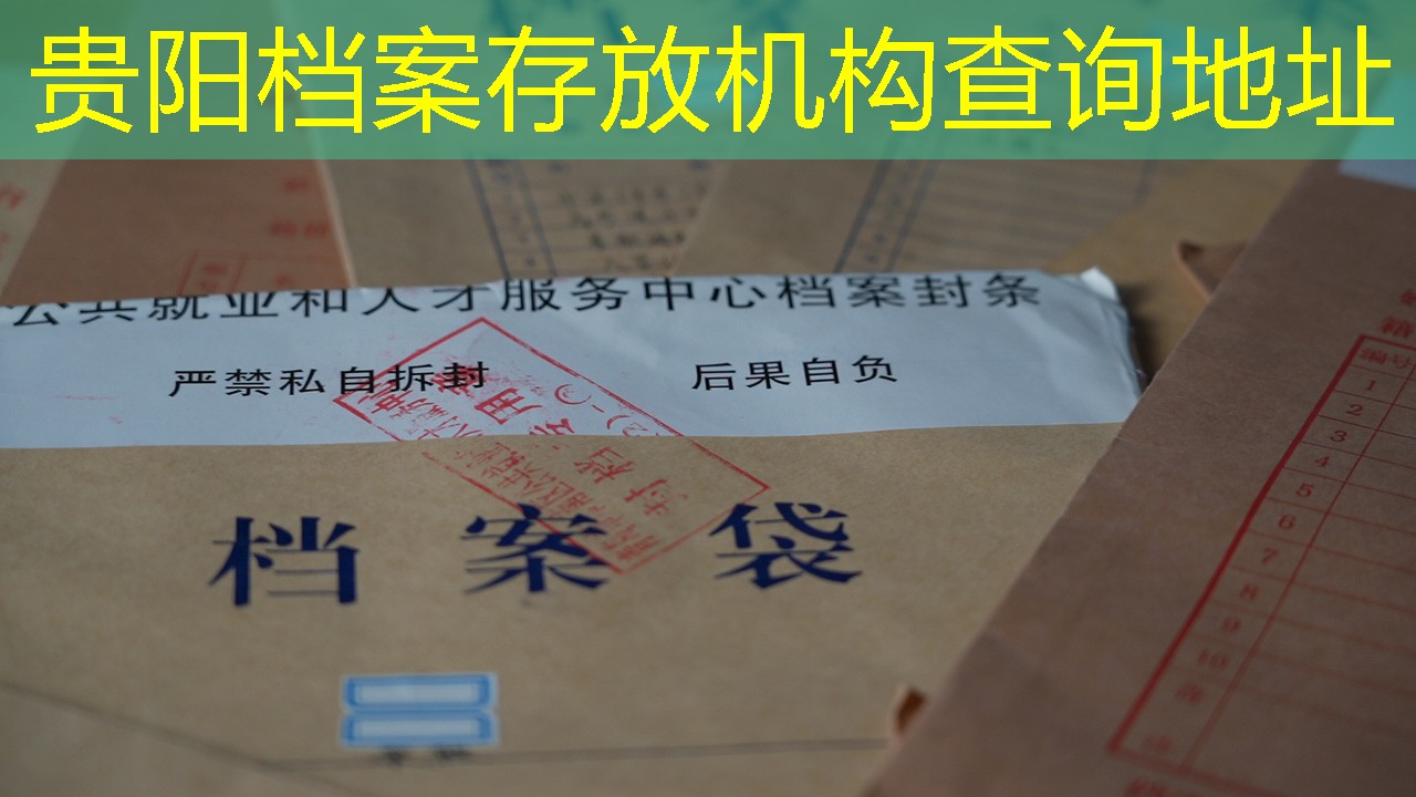 档案查询