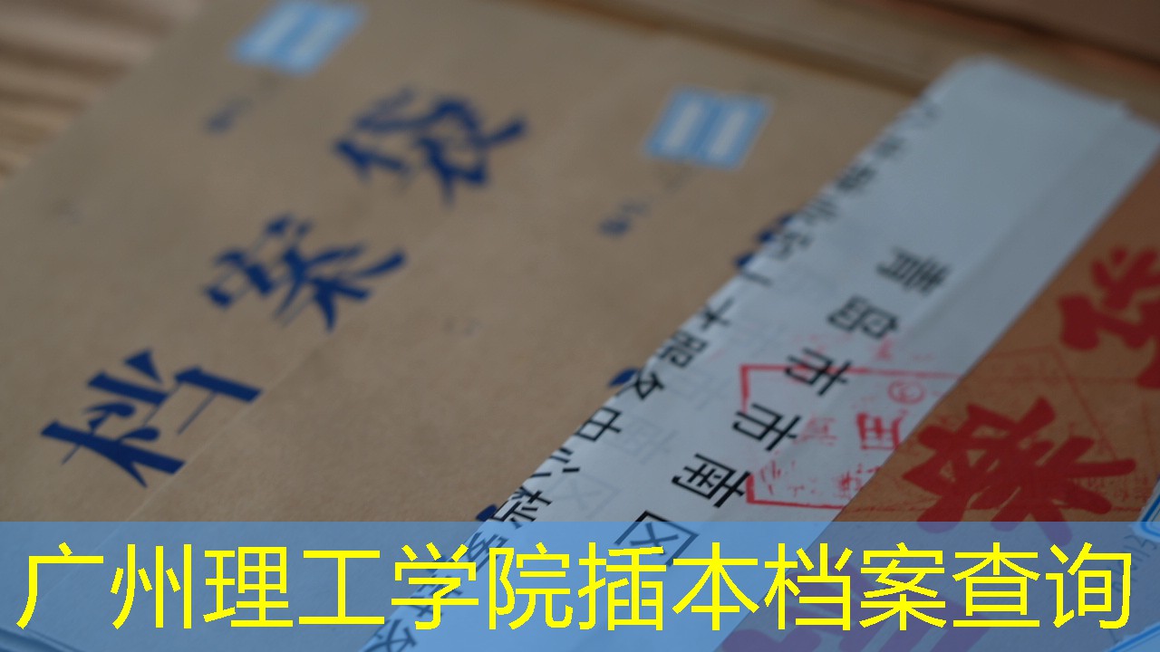 档案查询