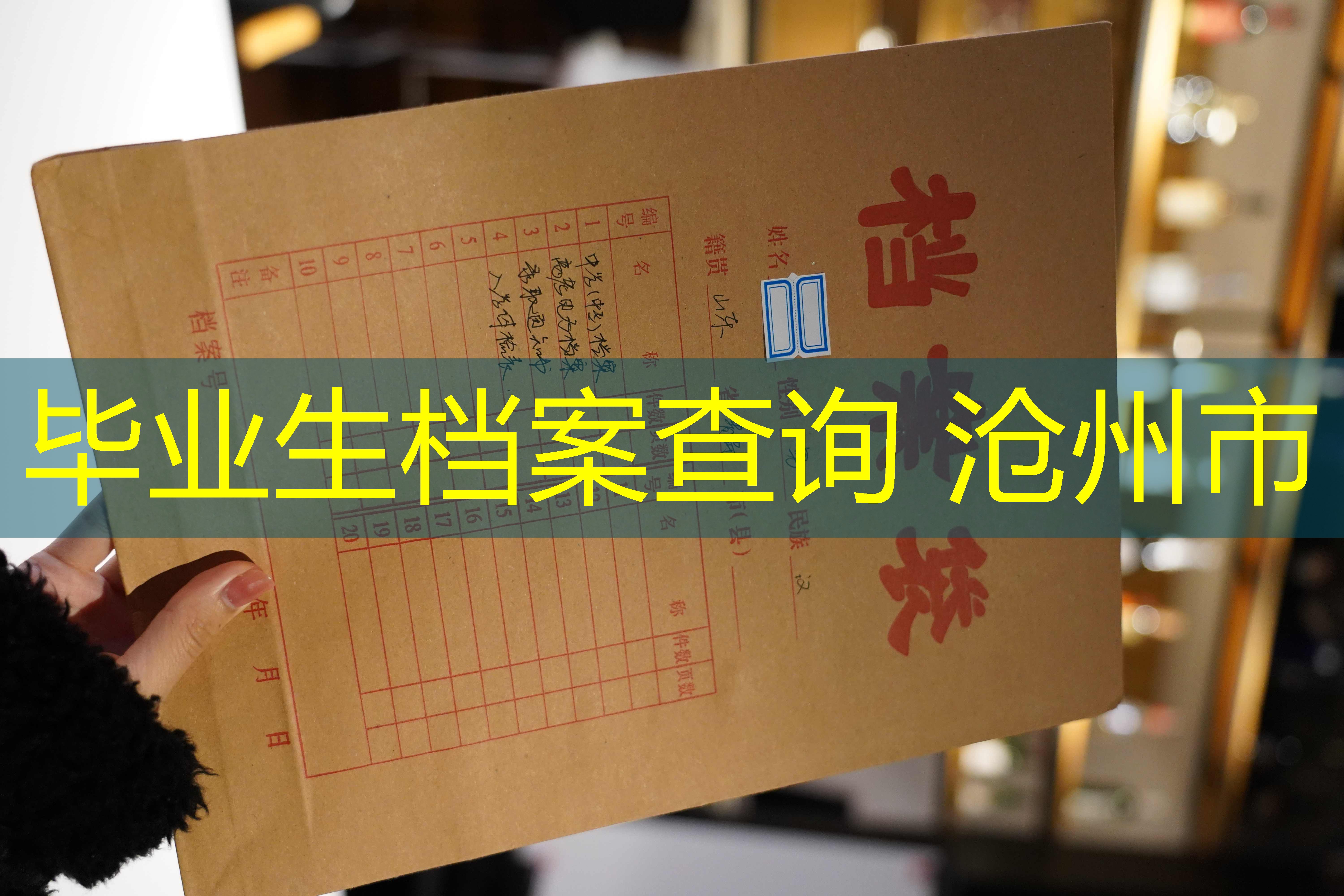 档案查询