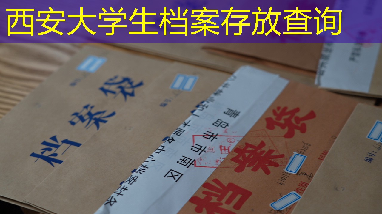 档案查询