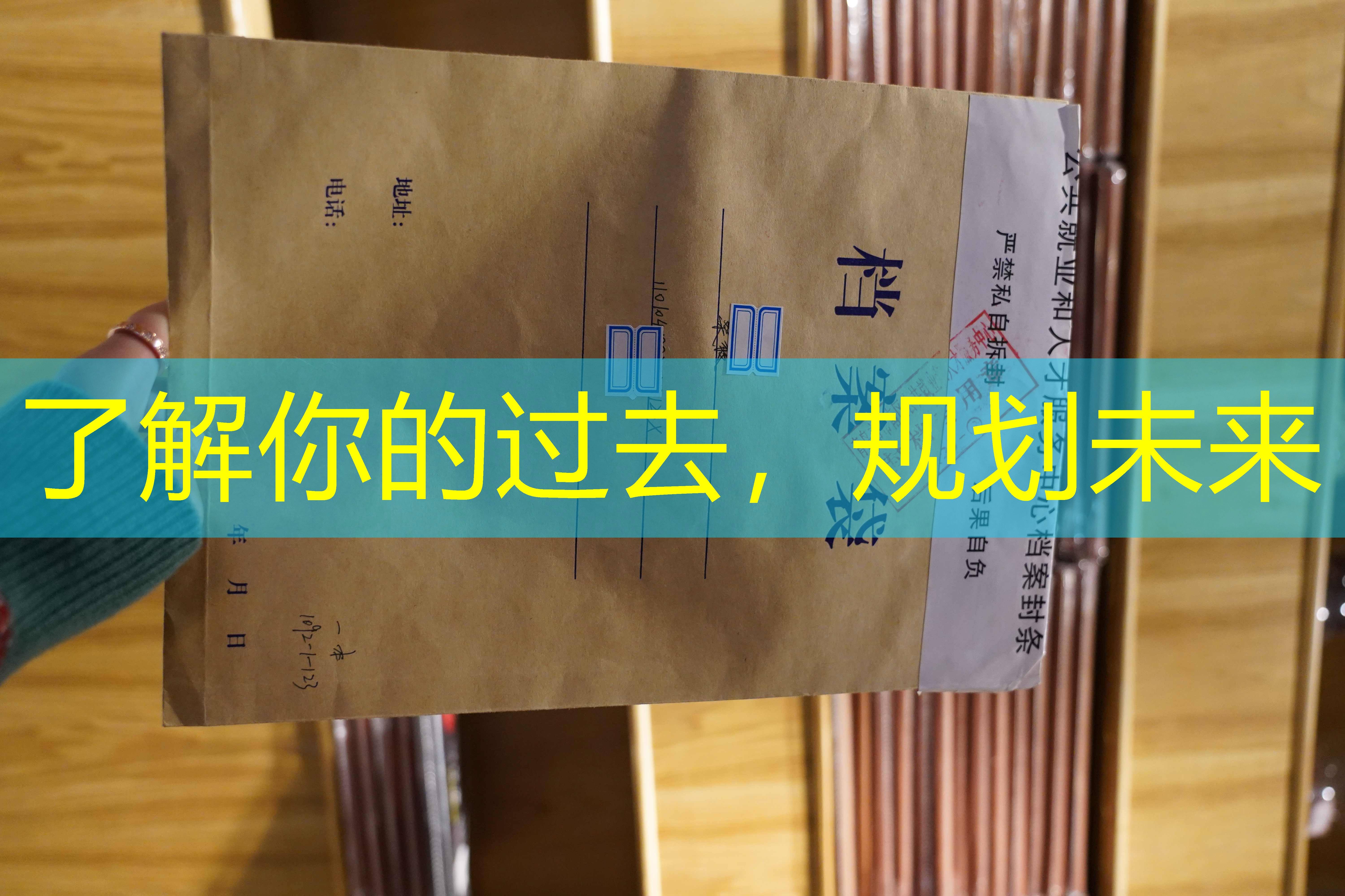 档案查询