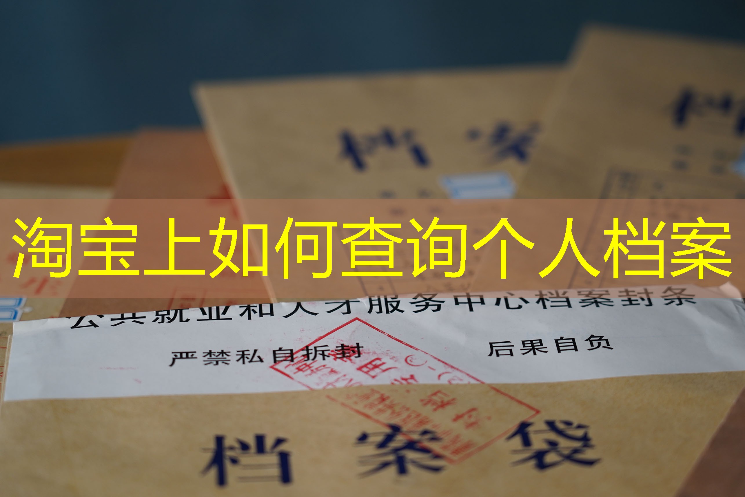 档案查询
