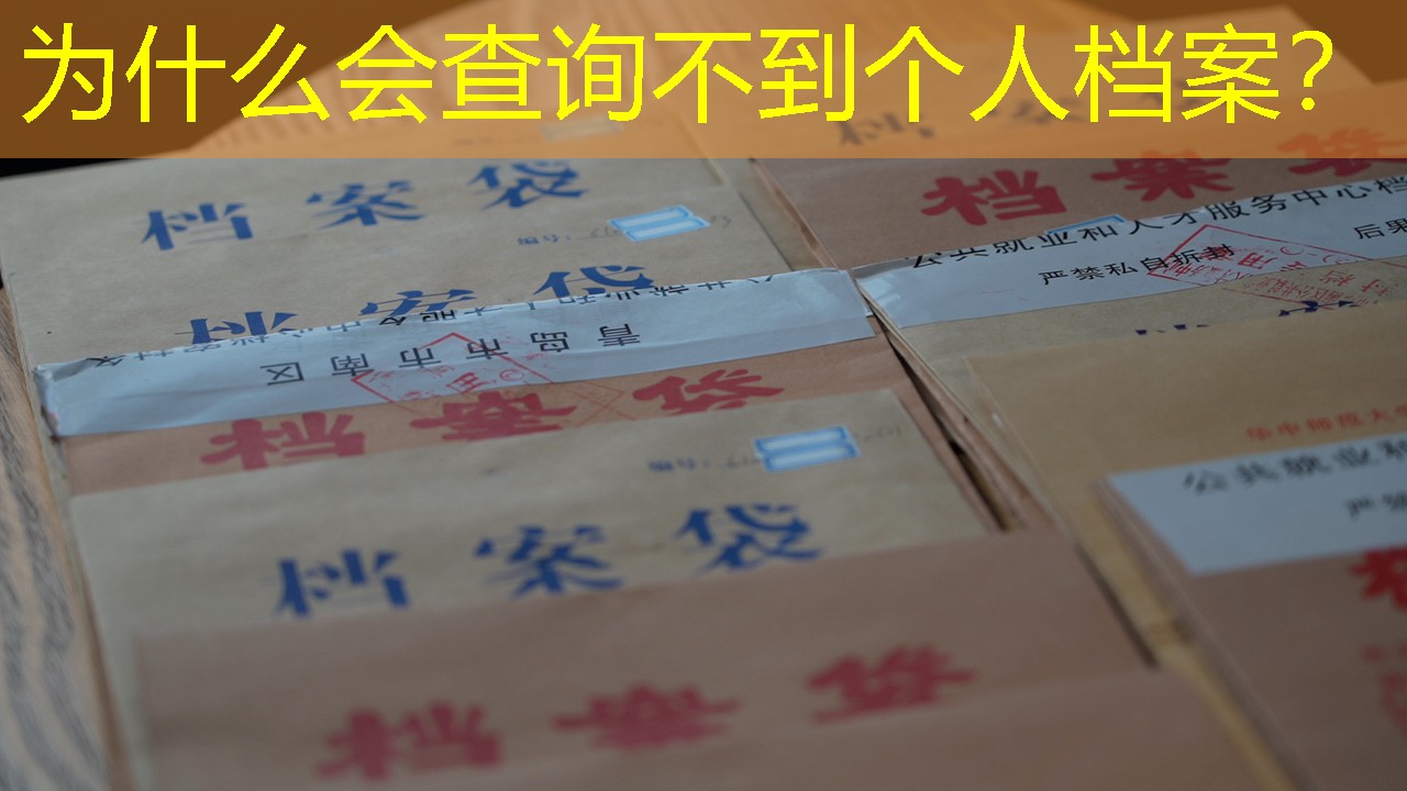 档案查询