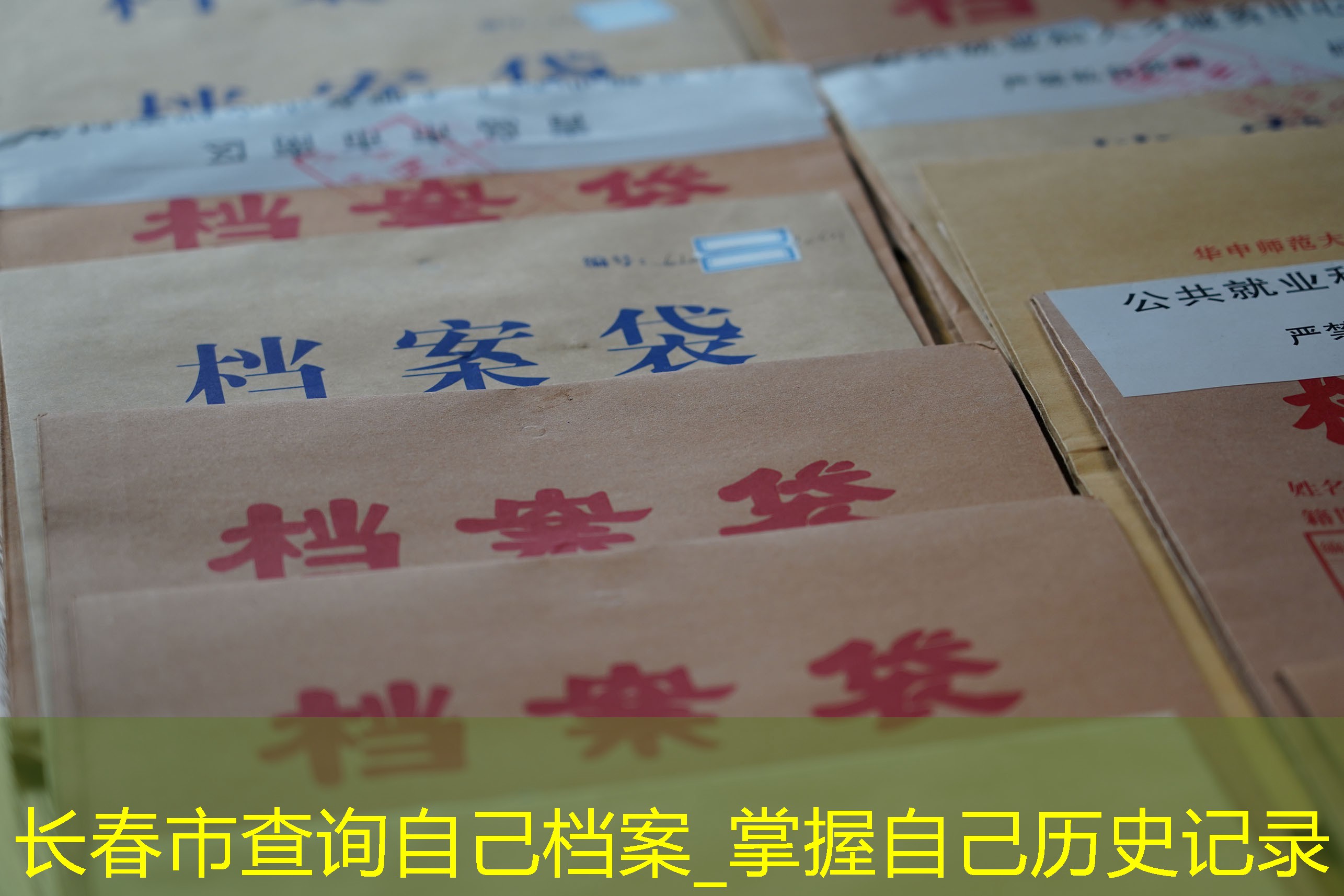 档案查询