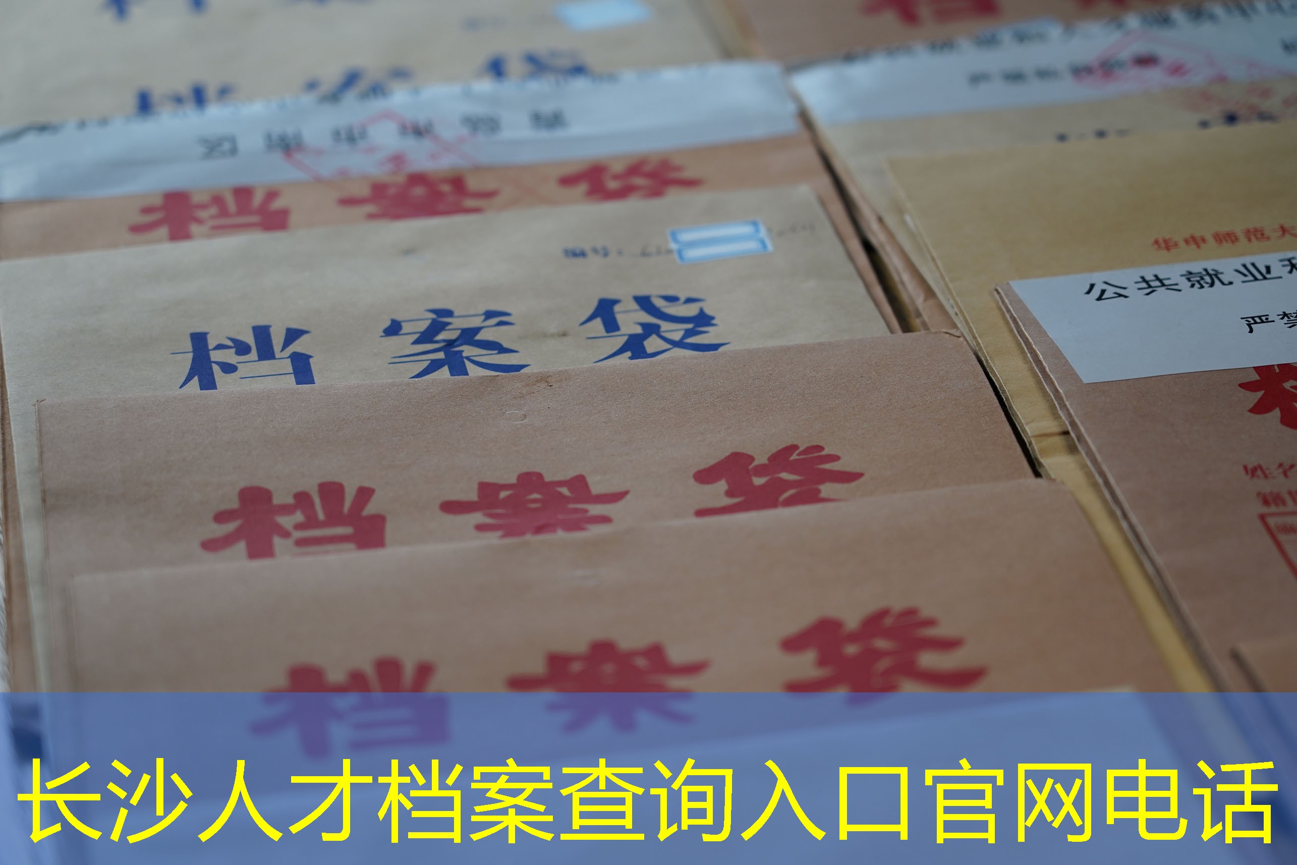 档案查询
