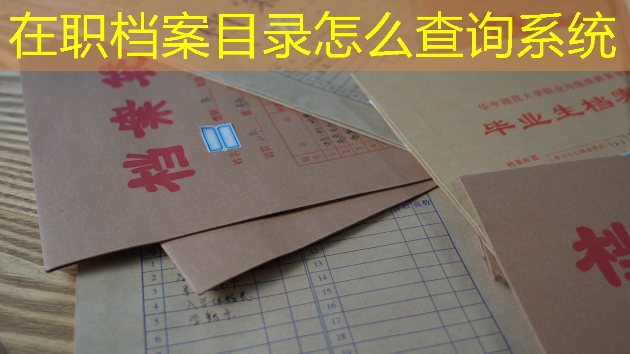 档案查询