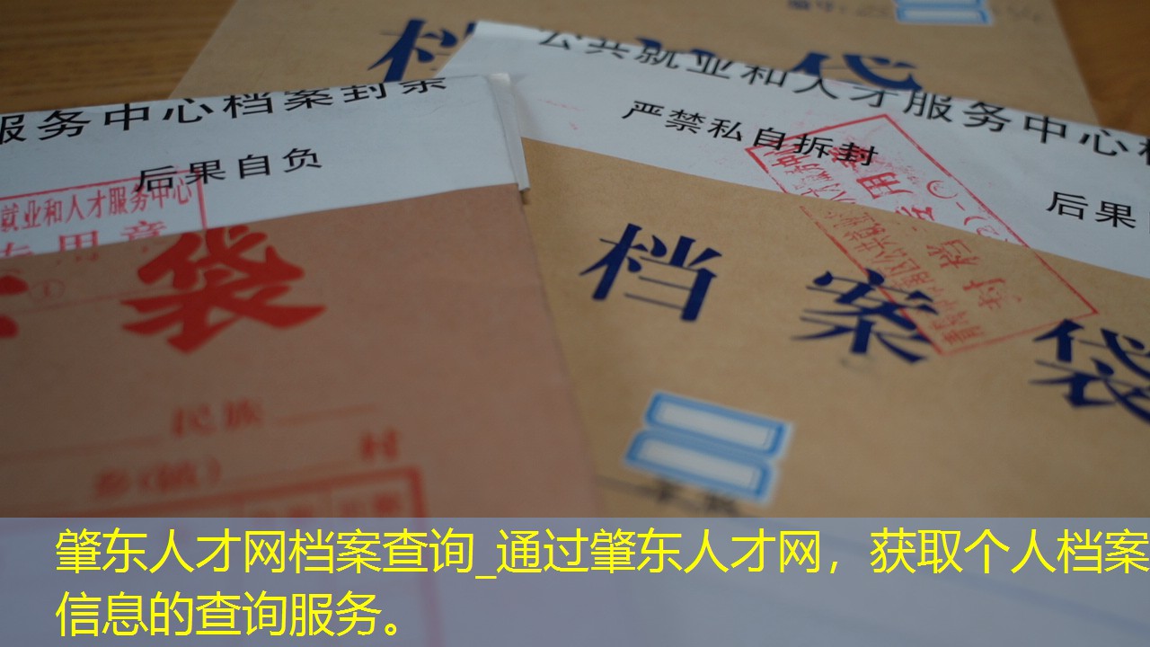档案查询