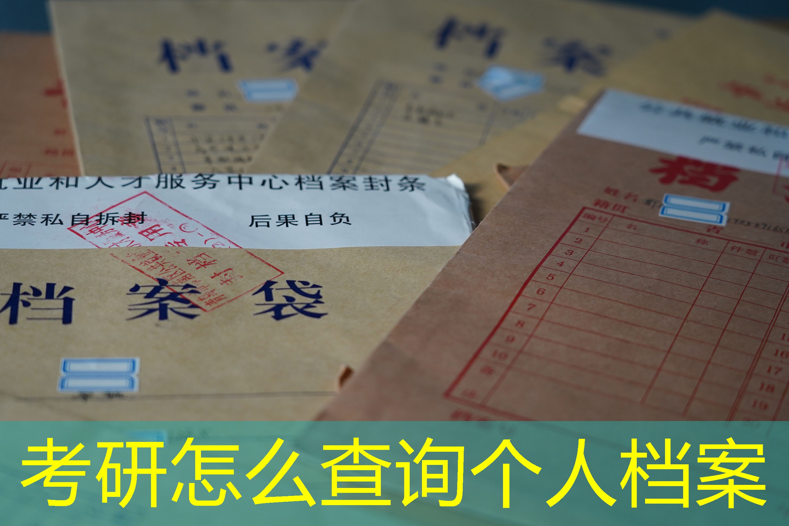 档案查询