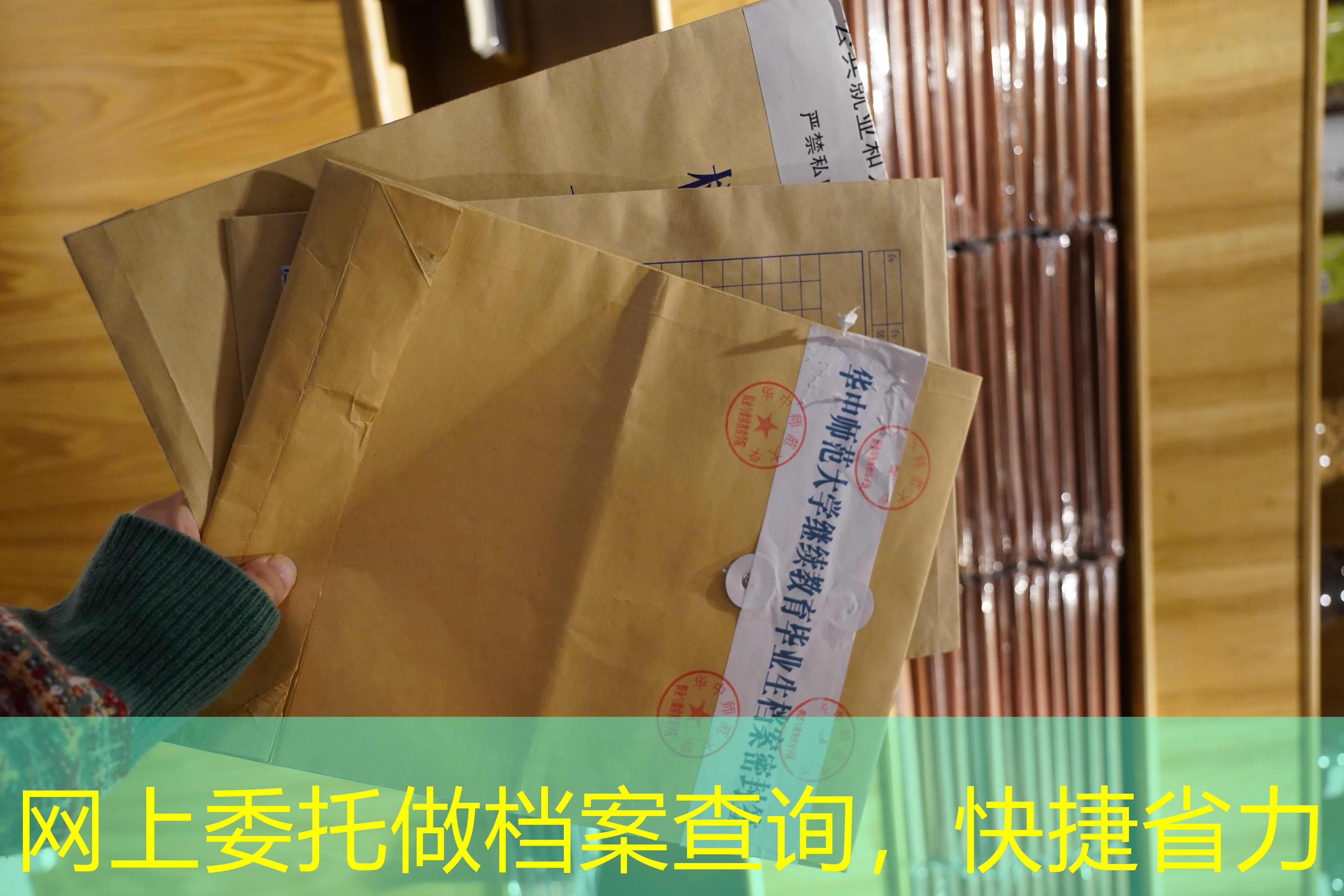 档案查询