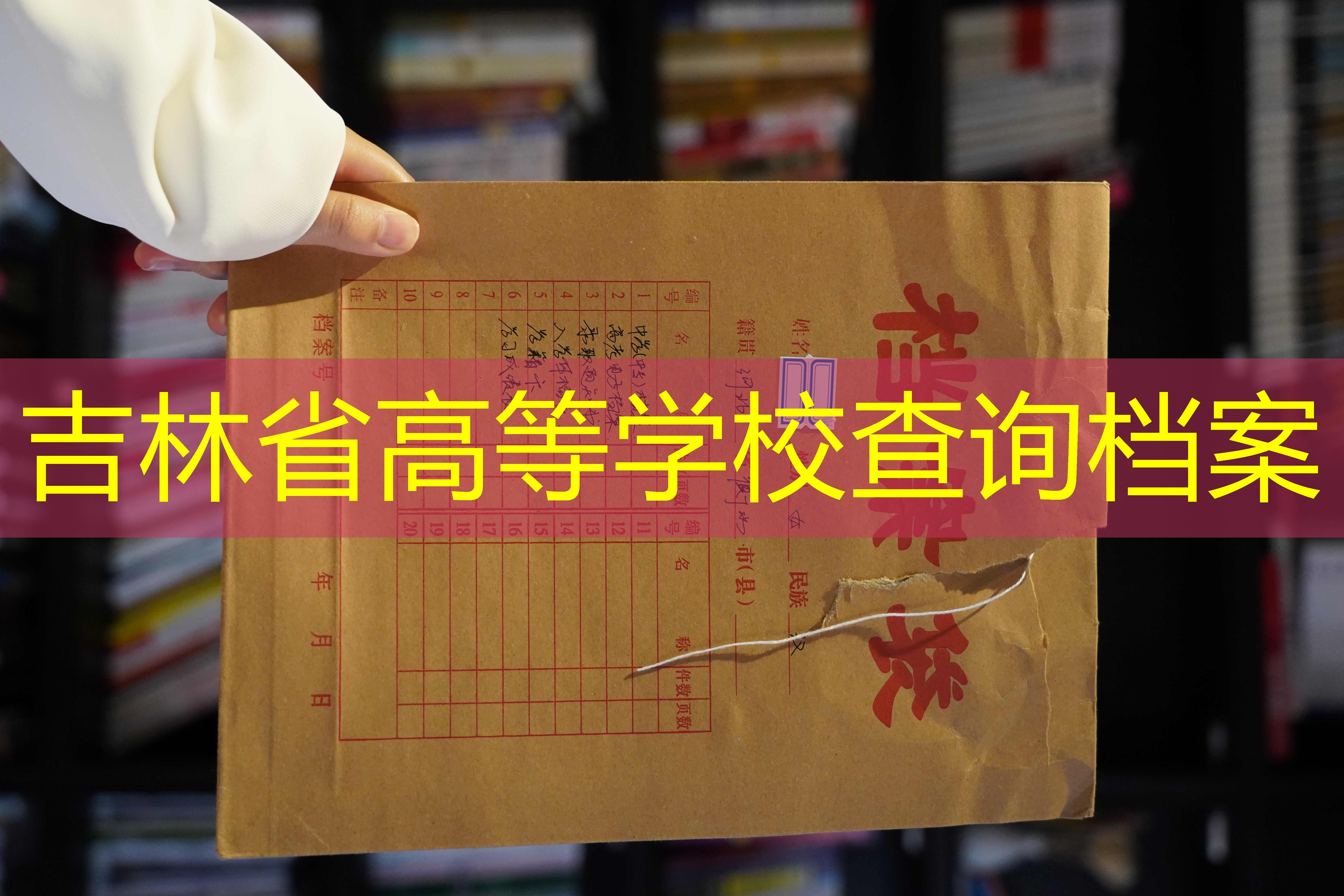 档案查询