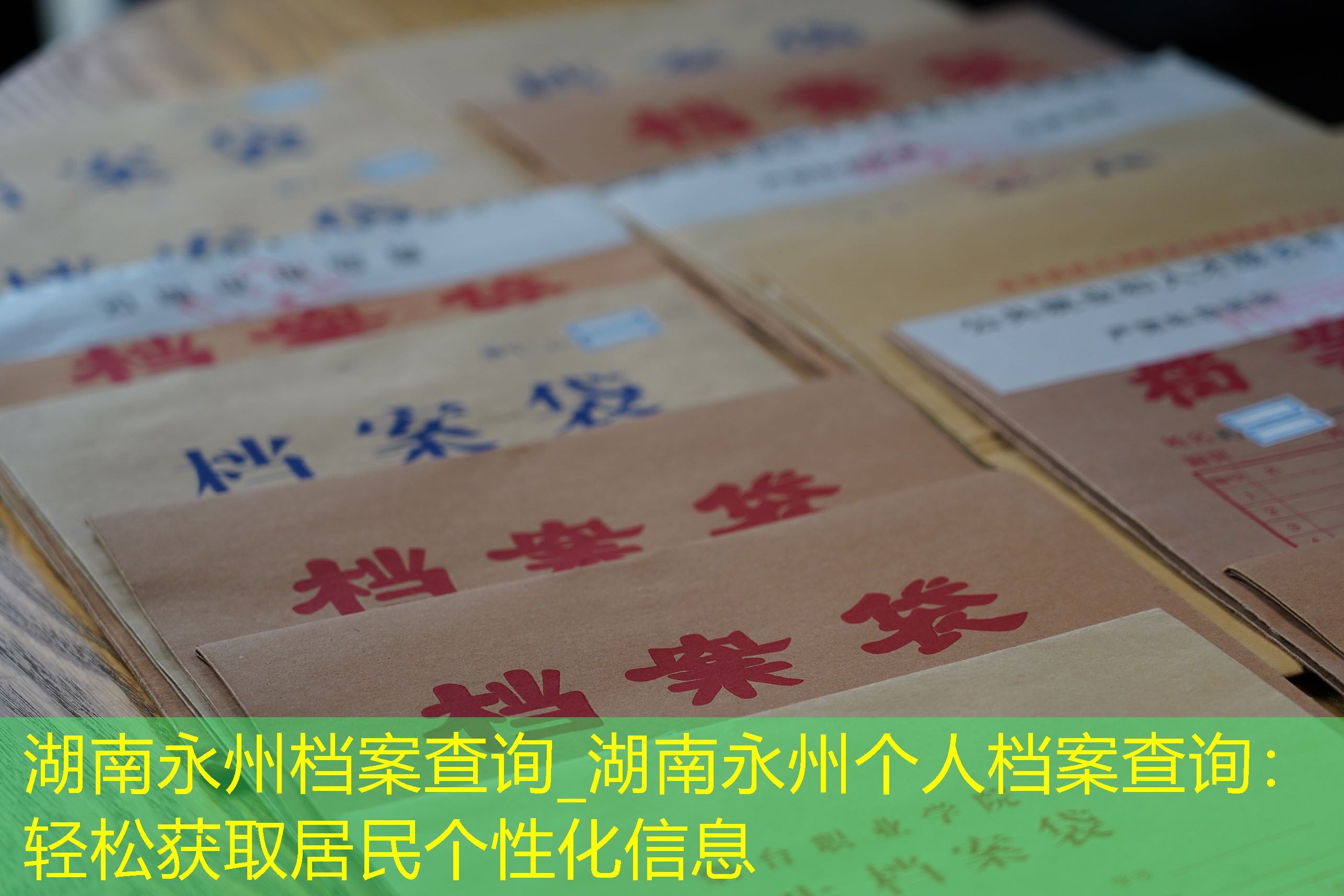 档案查询