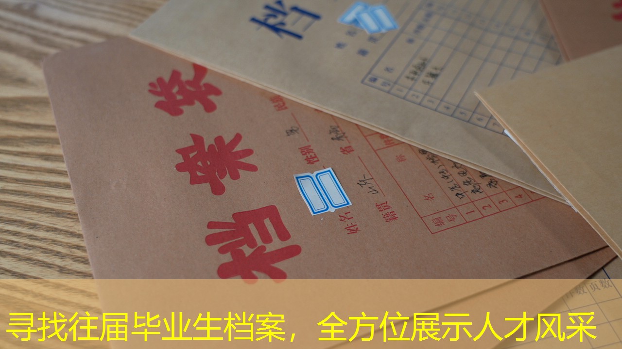 档案查询