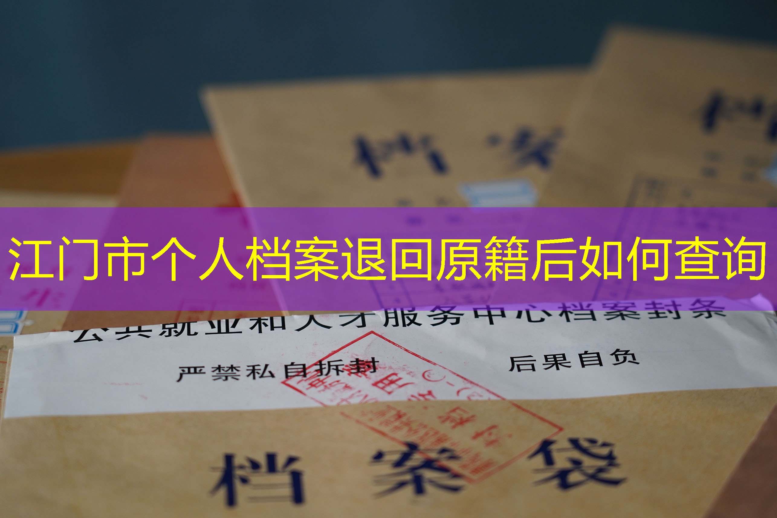 档案查询