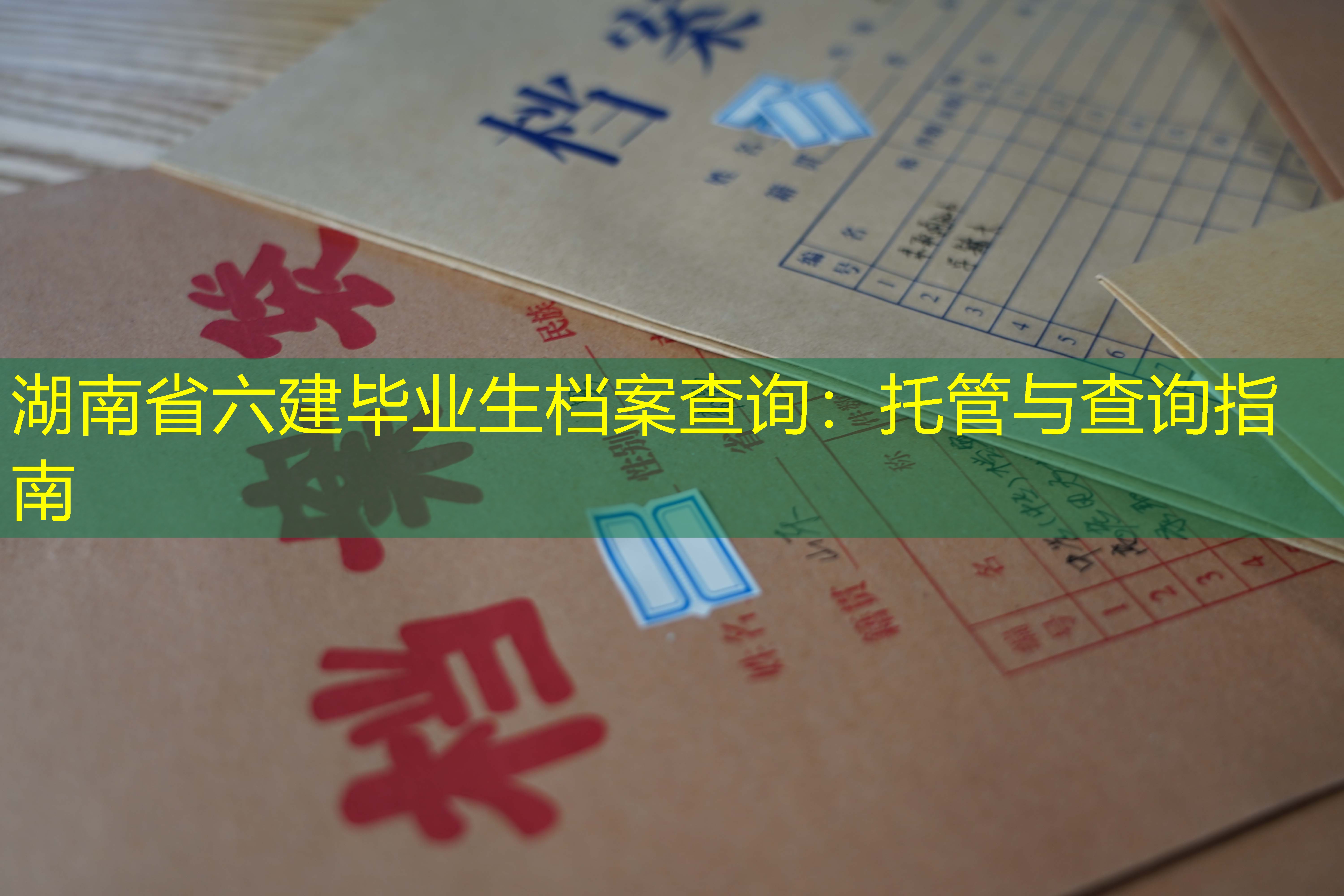 档案查询