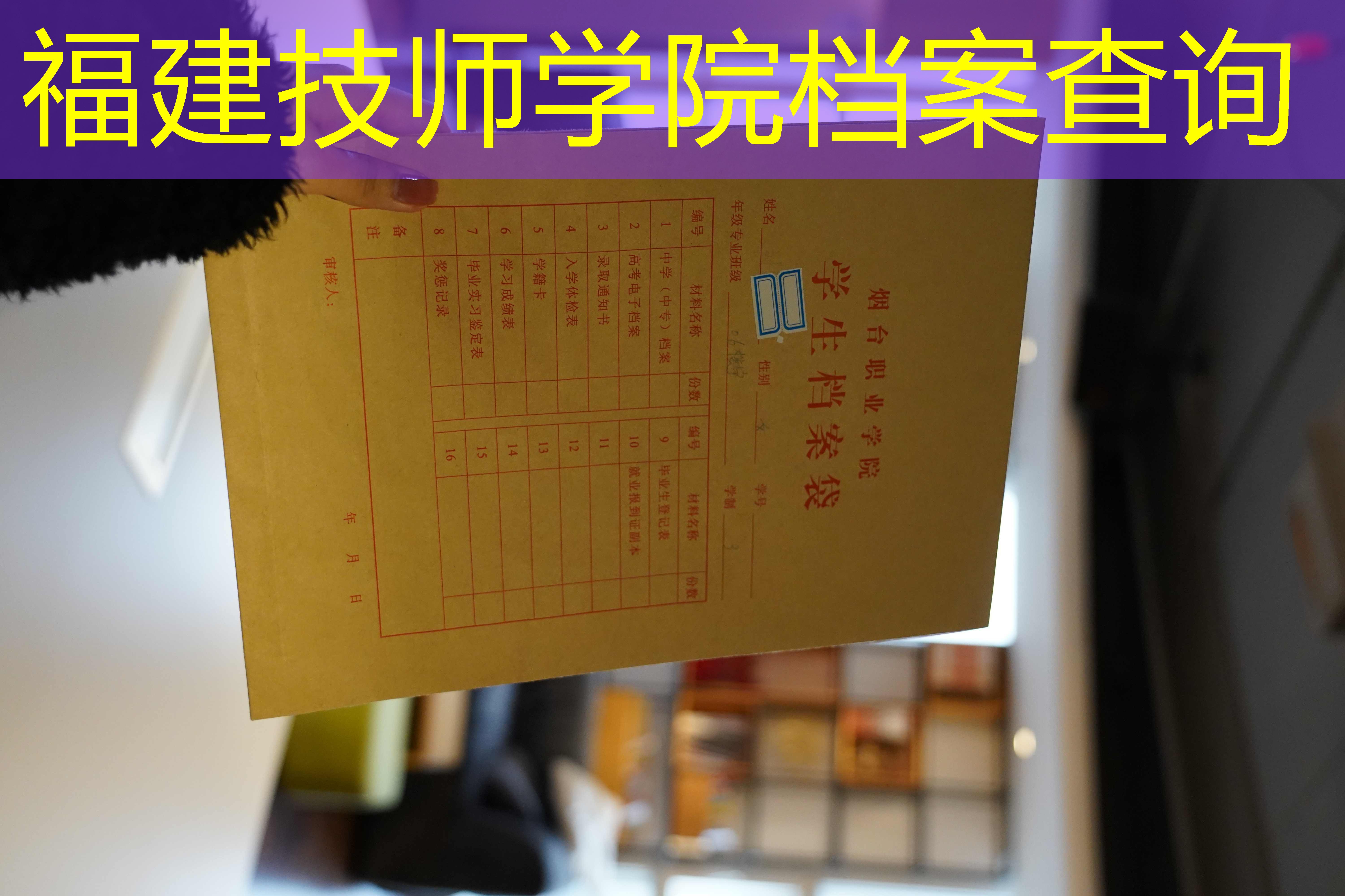 档案查询