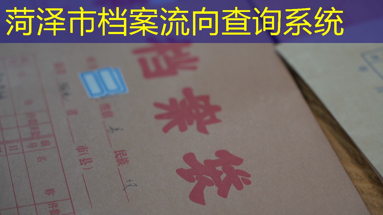 档案查询