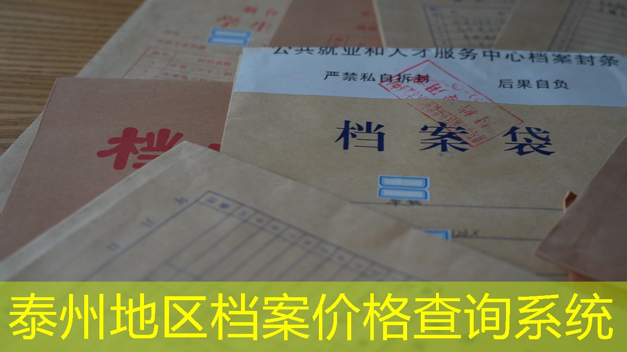 档案查询