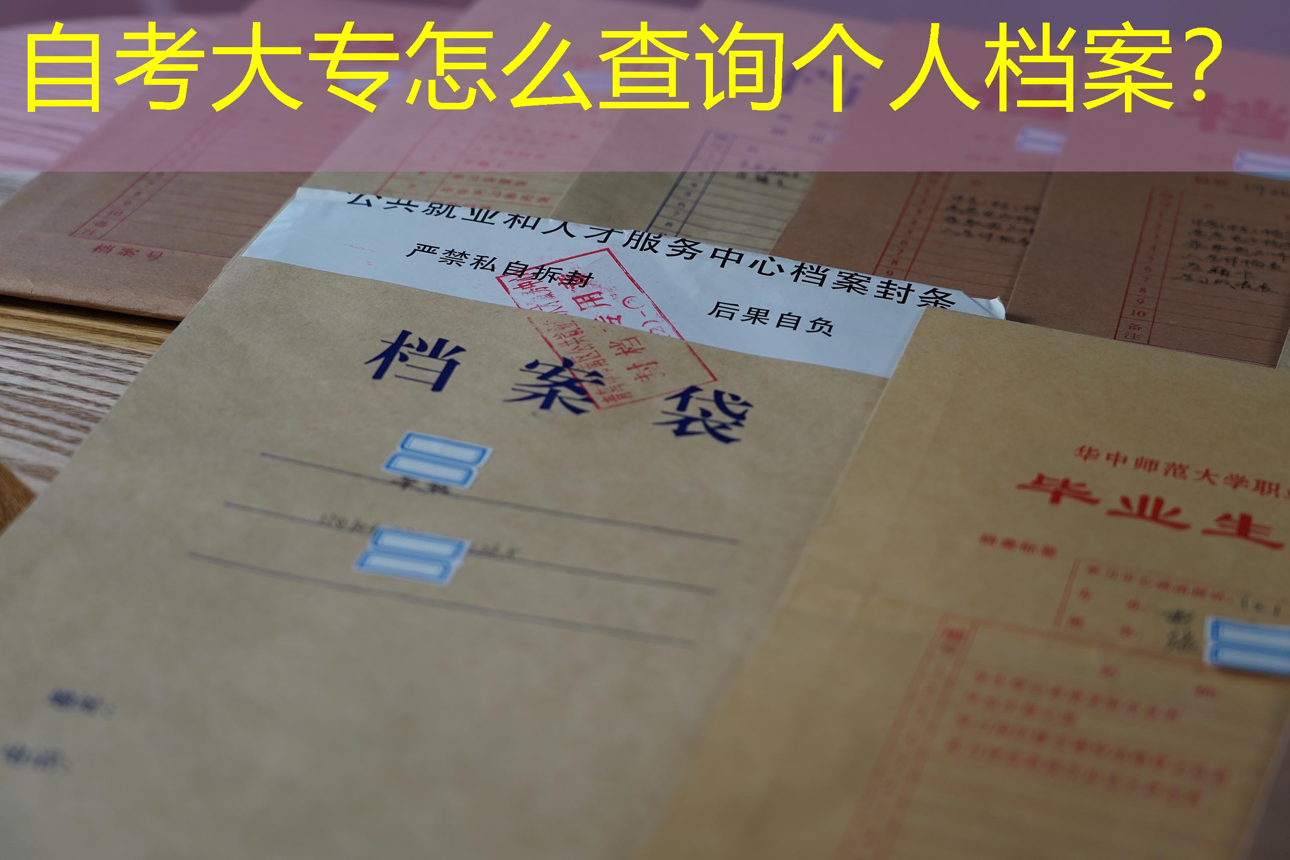 档案查询