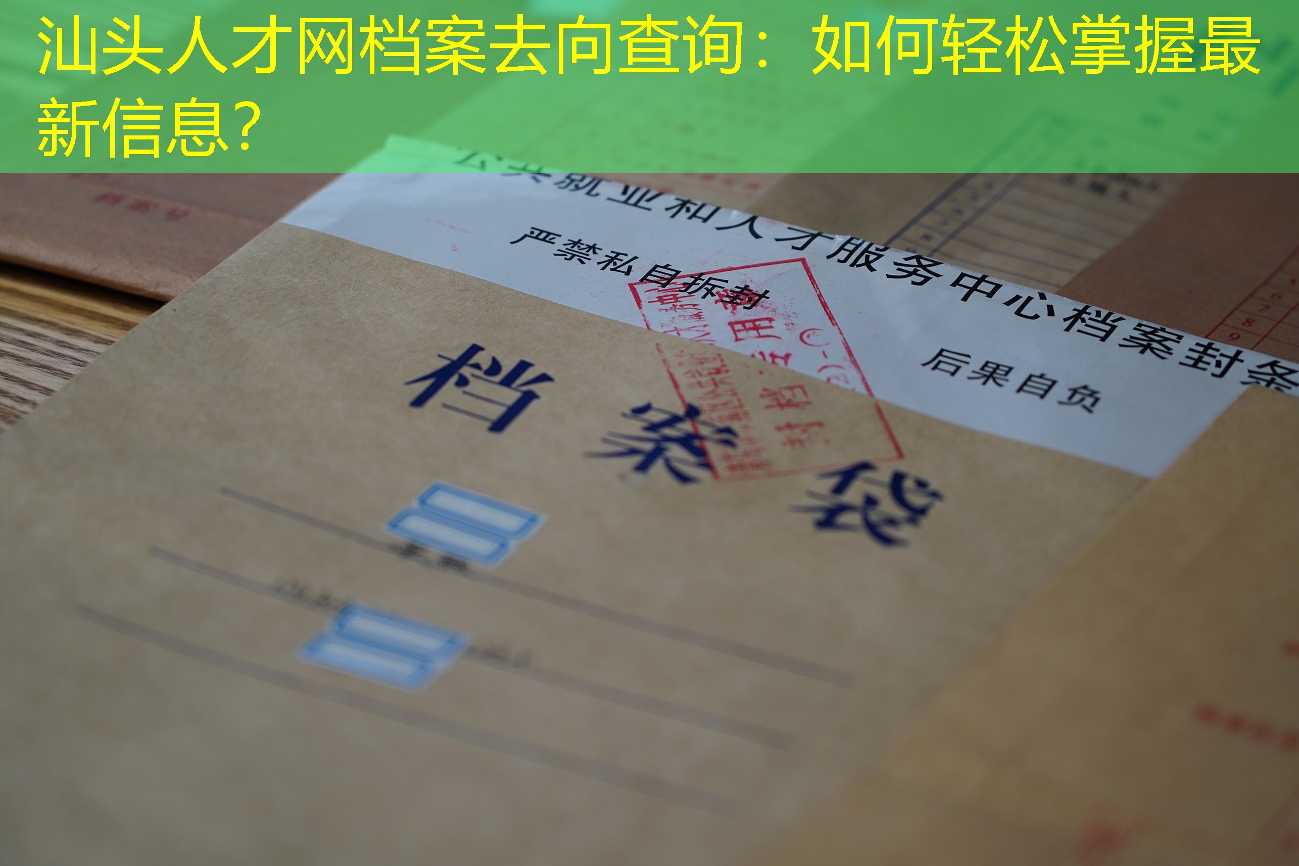 档案查询