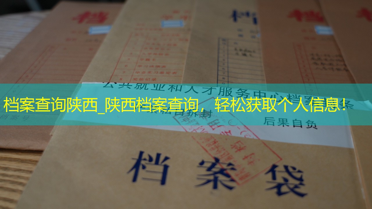 档案查询