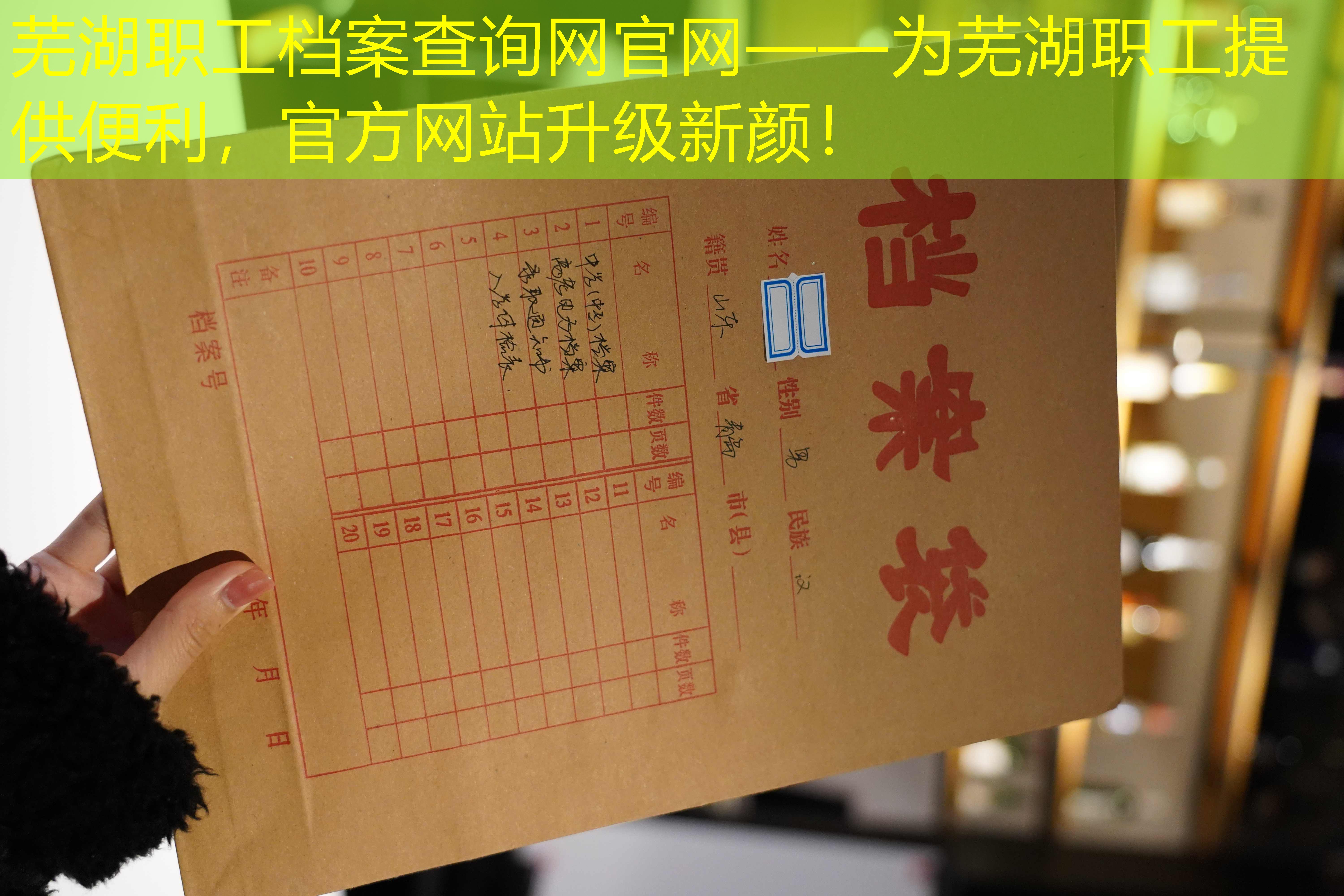 档案查询