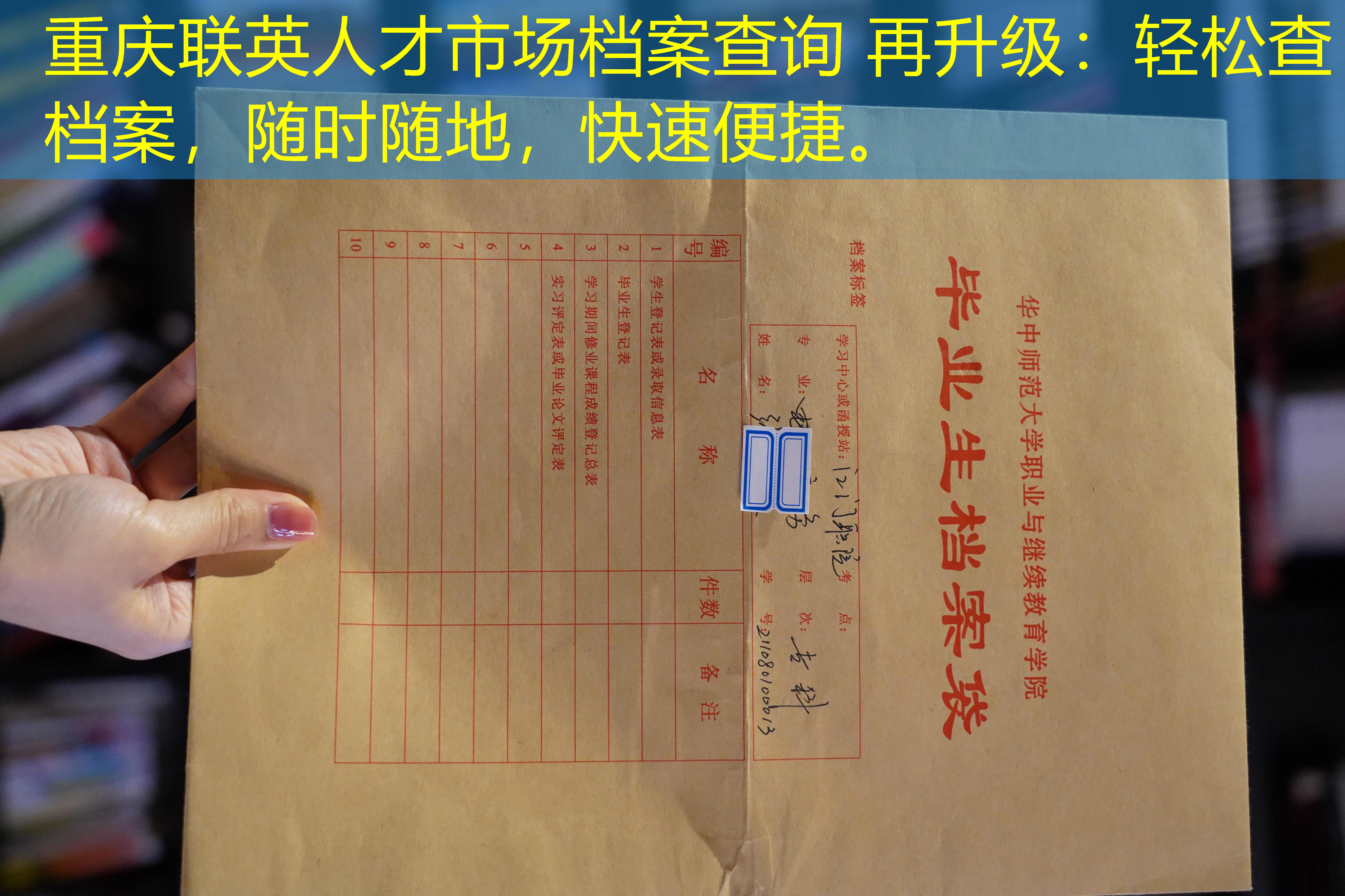 档案查询