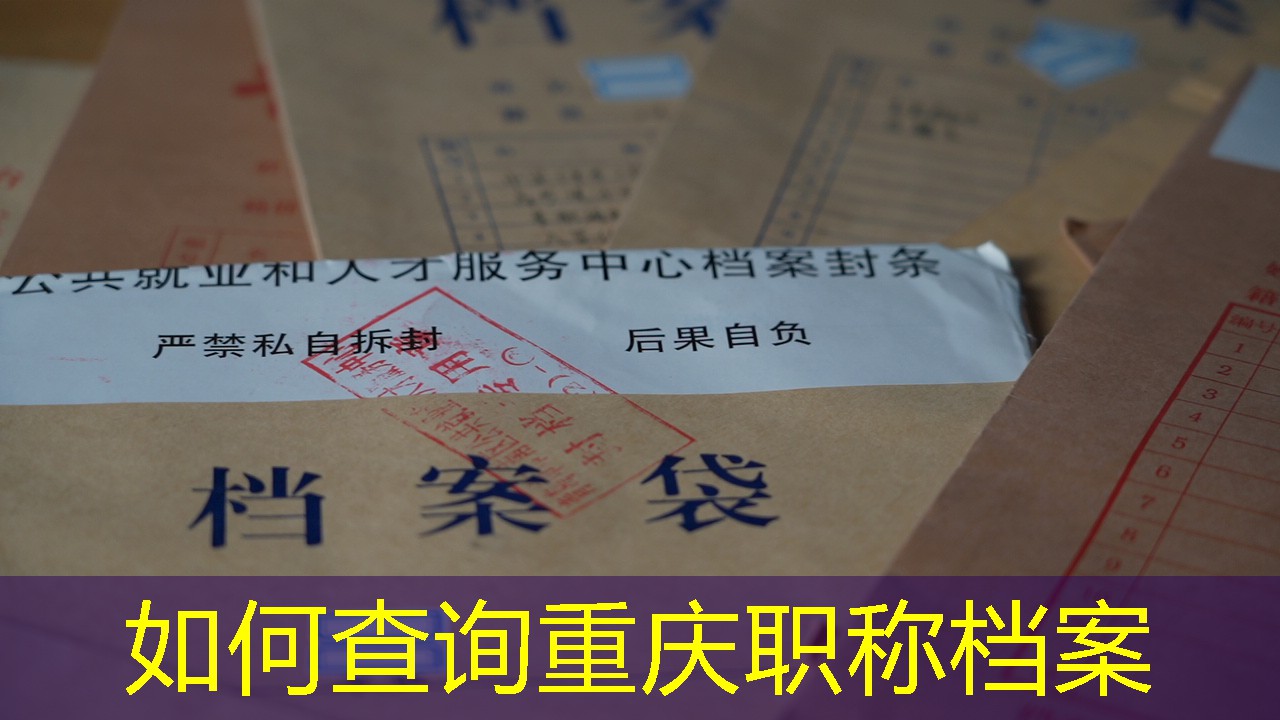 档案查询