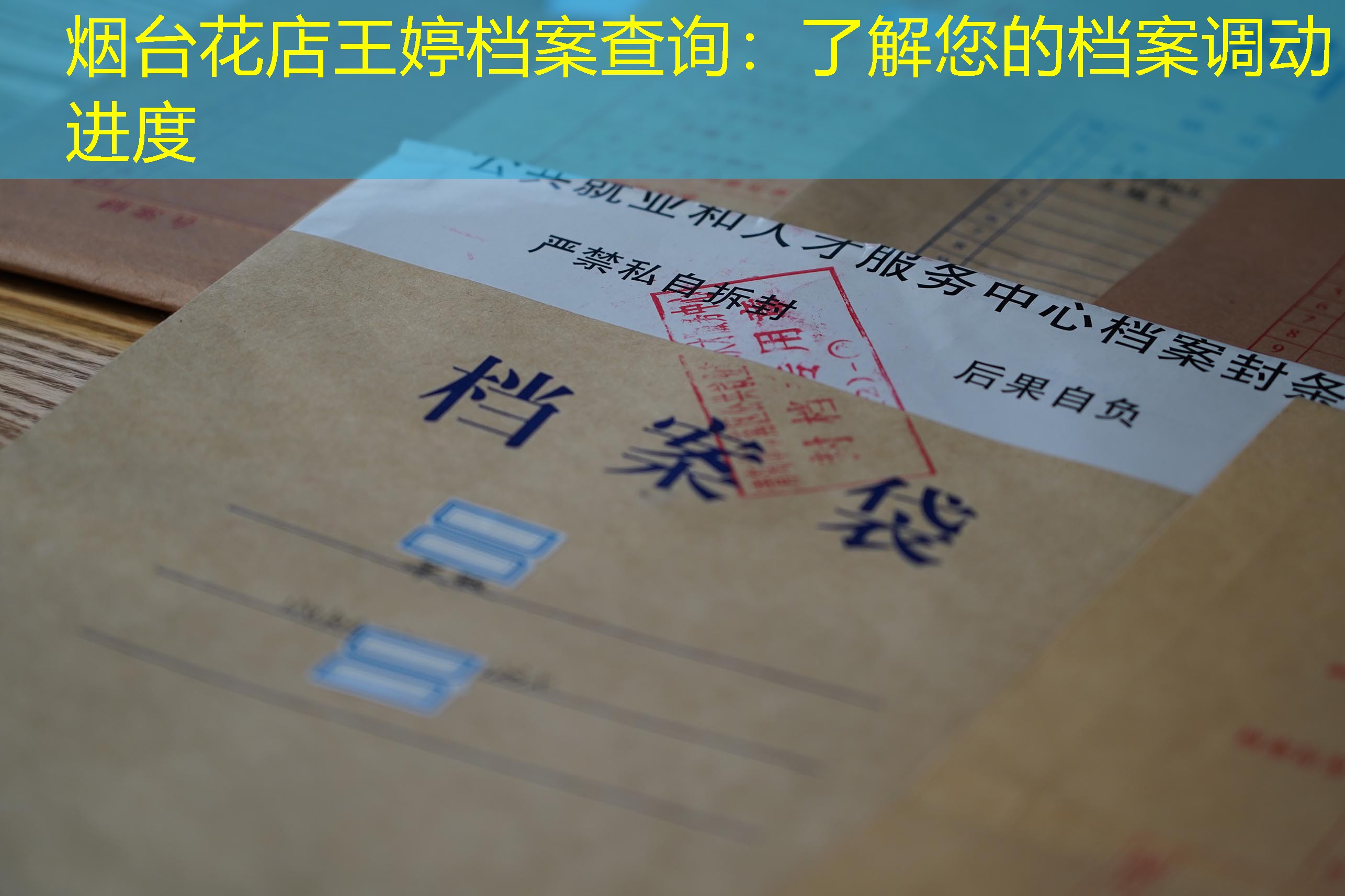 档案查询