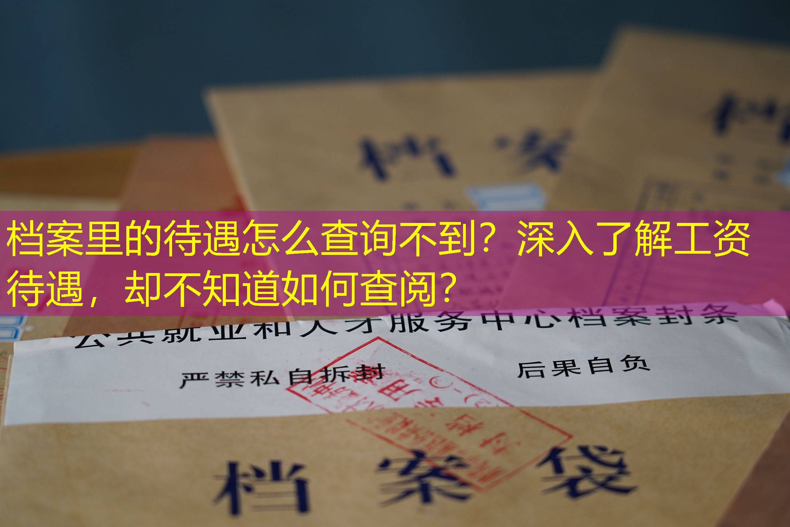档案查询