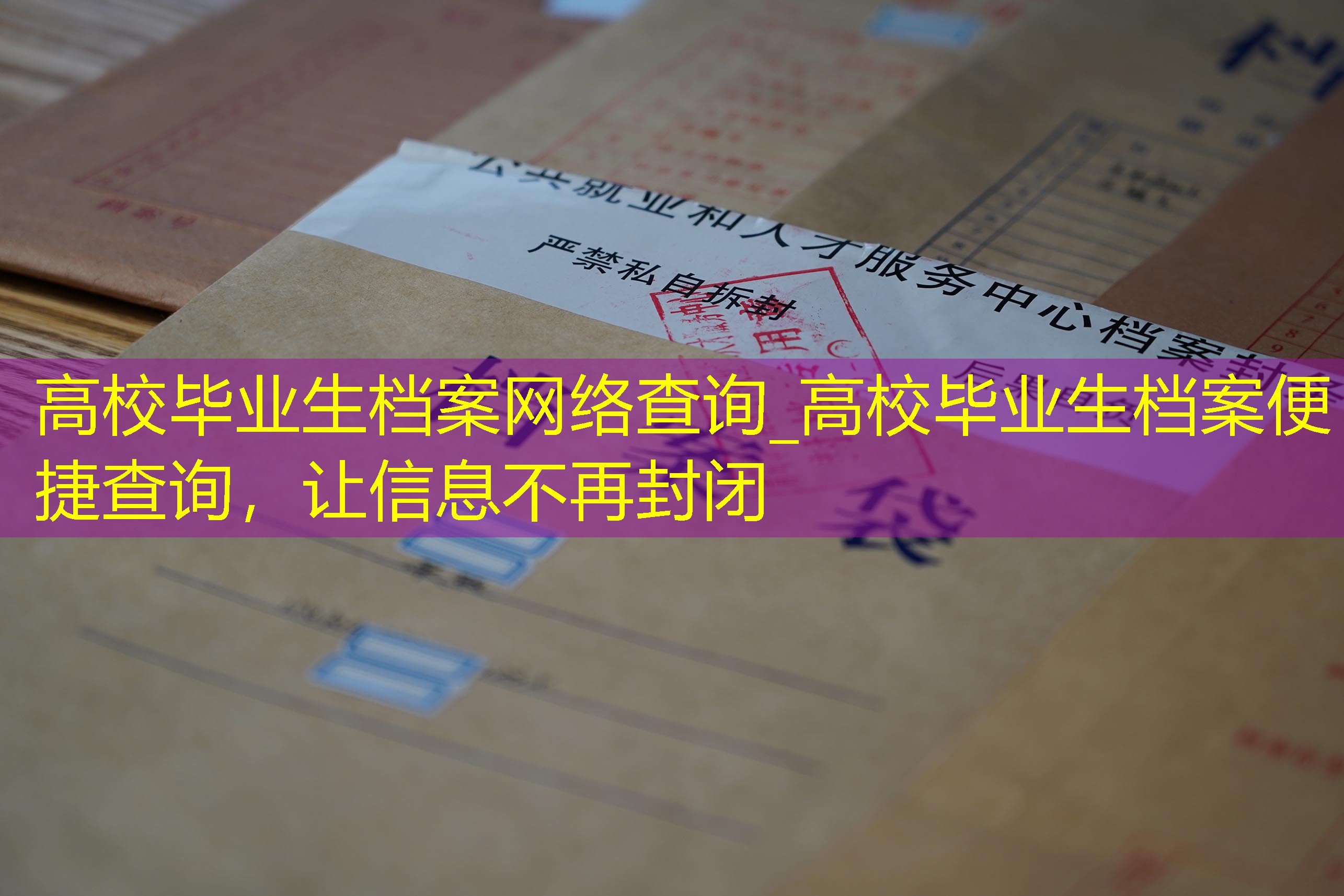 档案查询