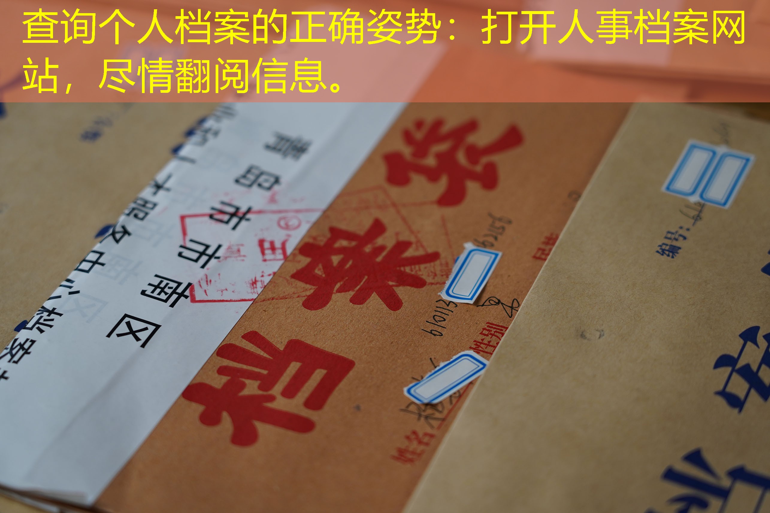 档案查询