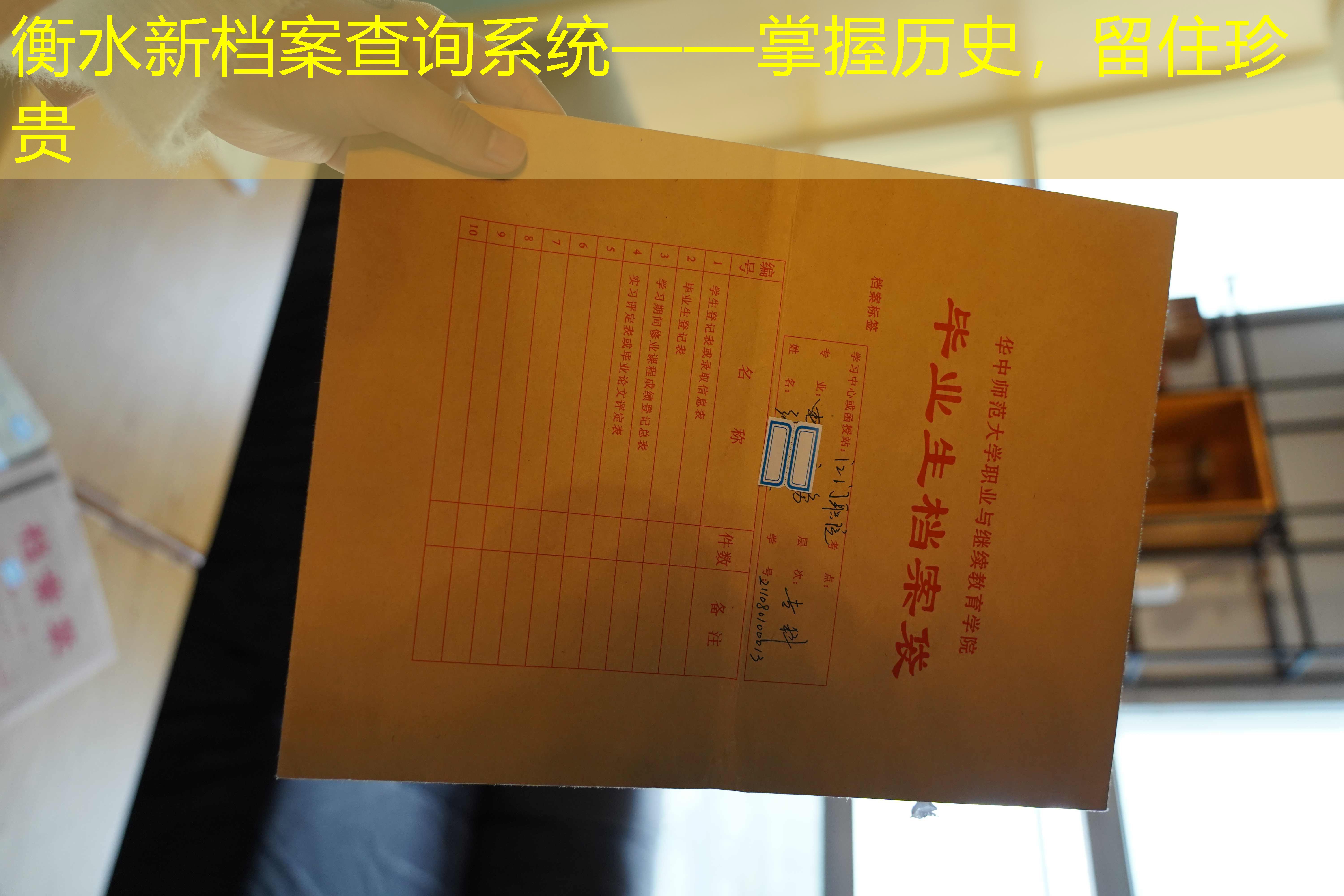 档案查询