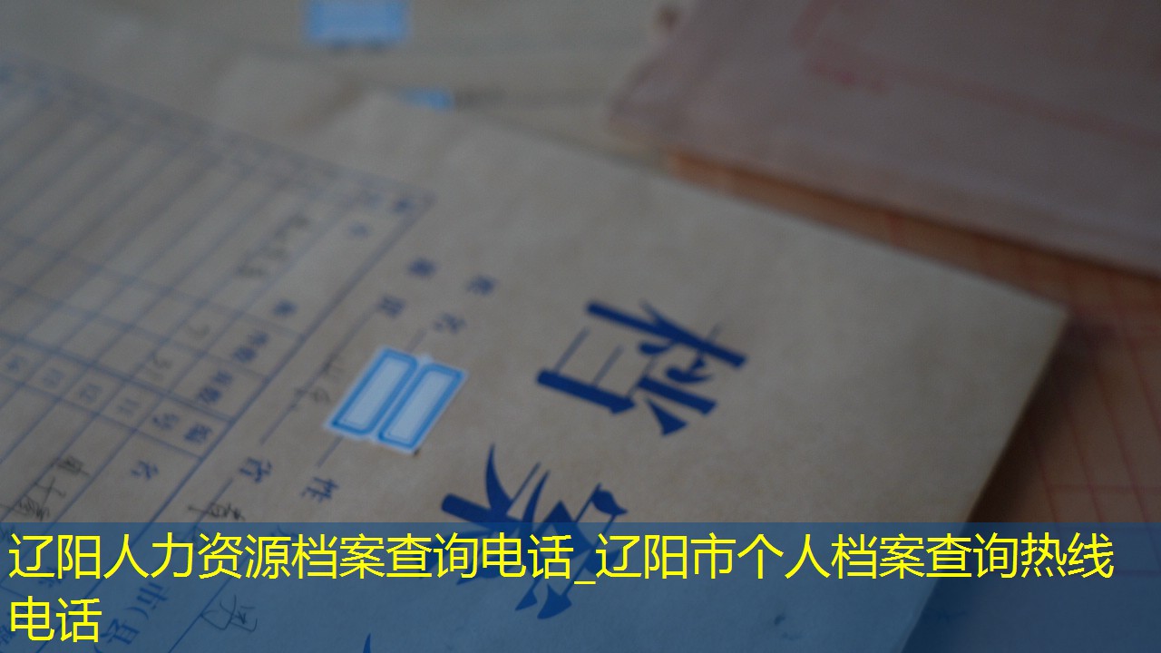 档案查询
