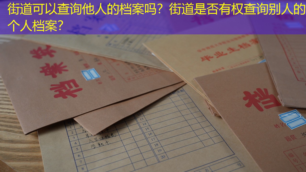 档案查询