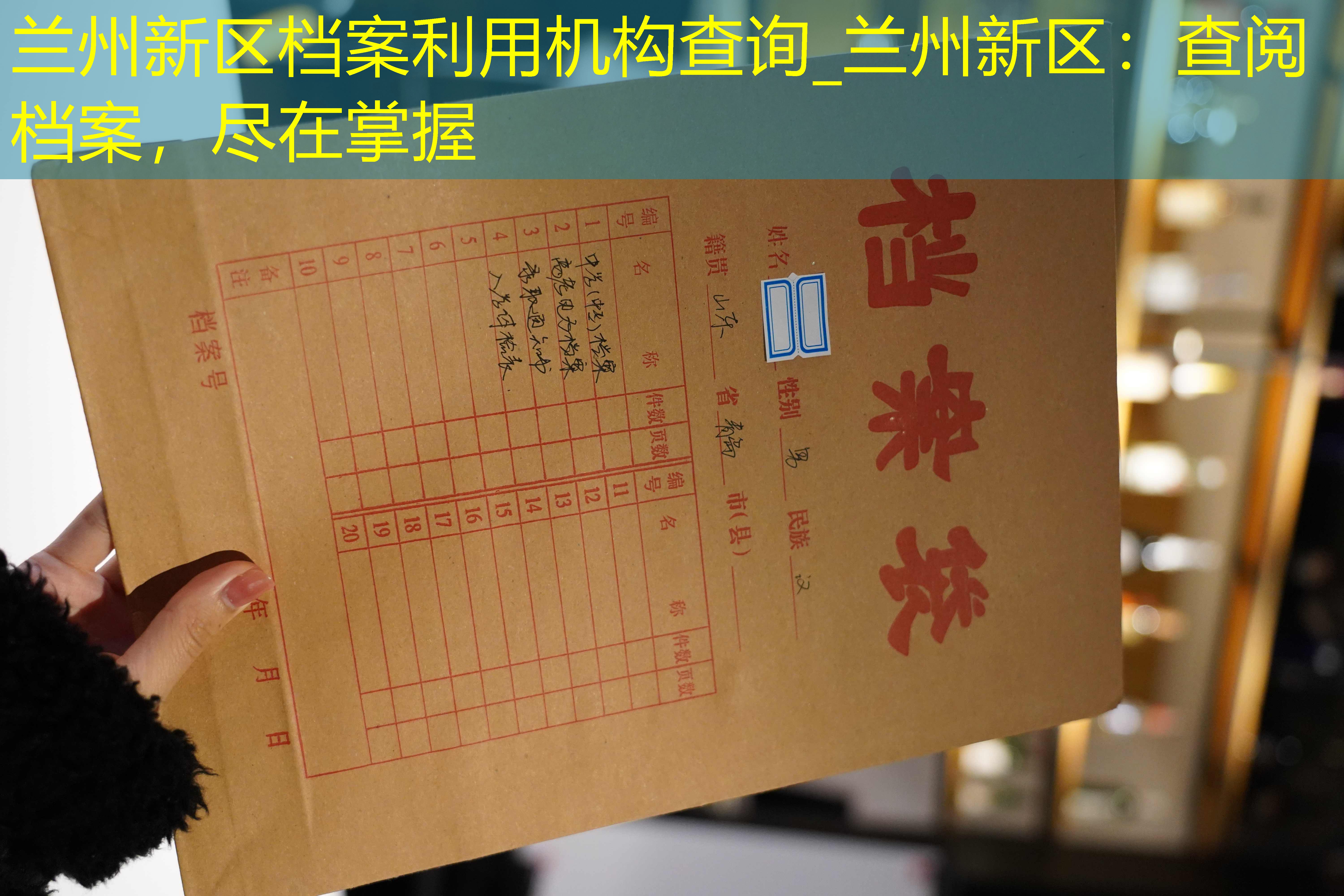 档案查询