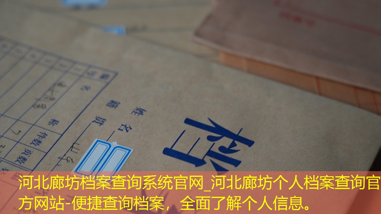档案查询