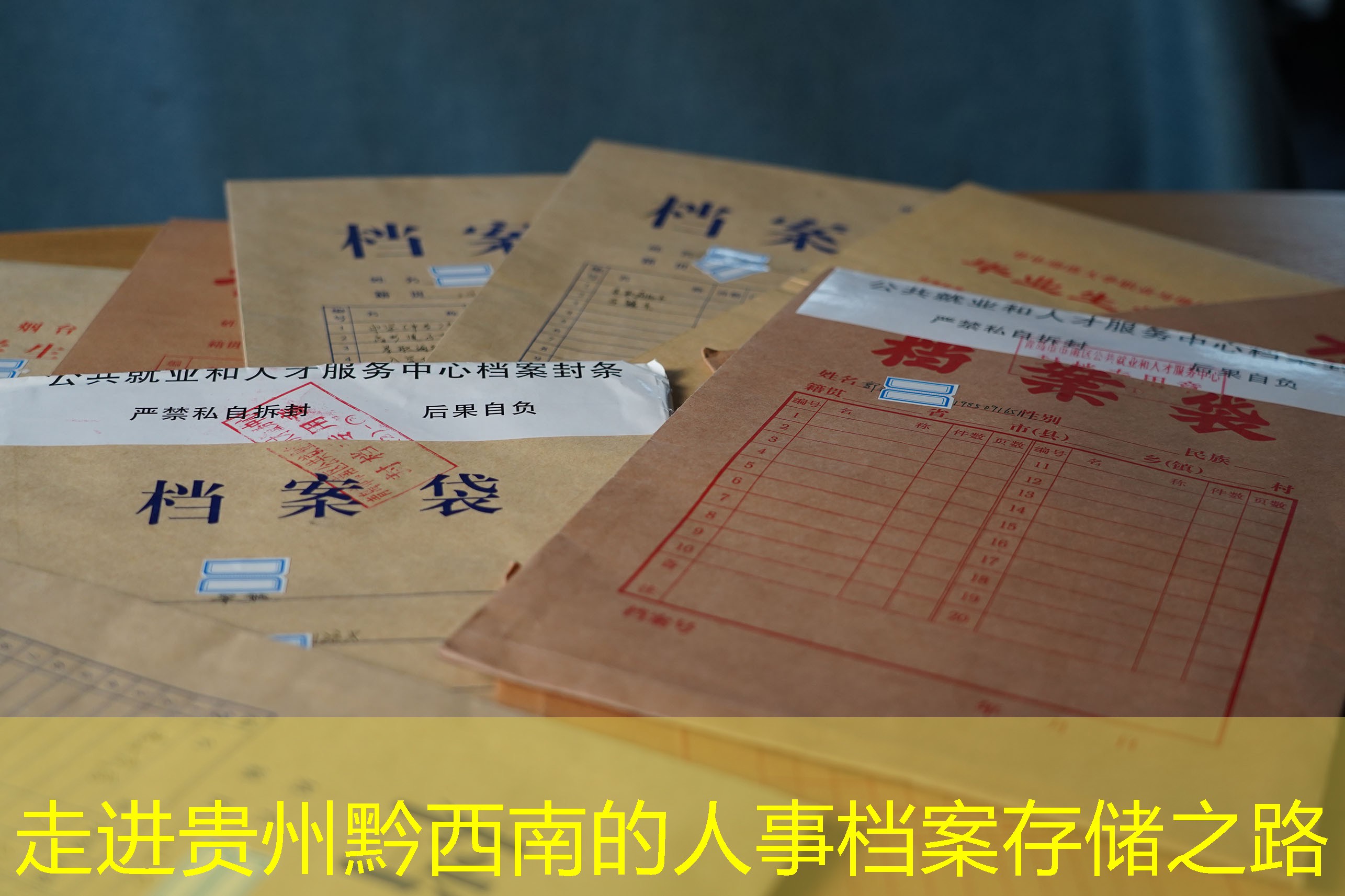 档案查询