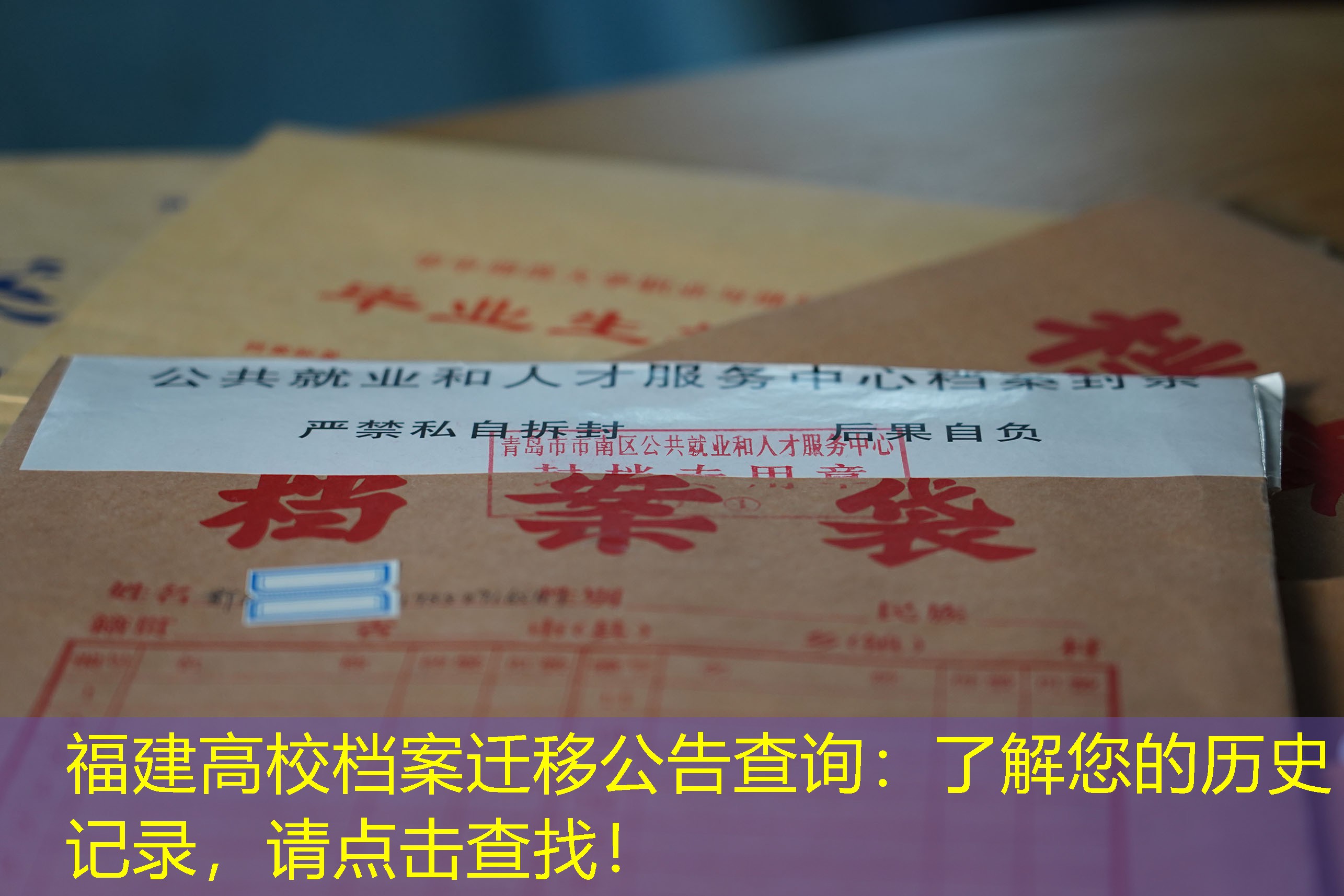 档案查询