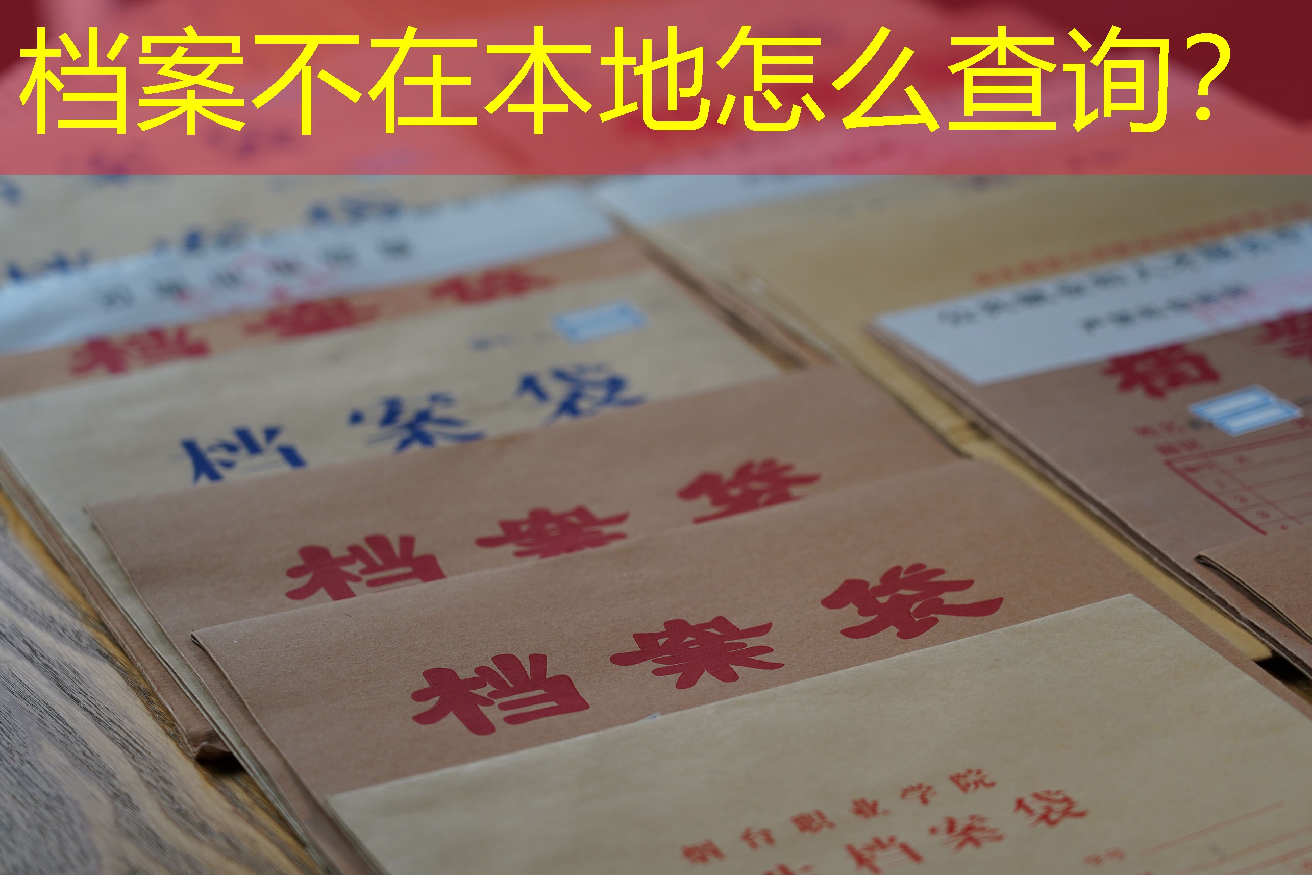 档案查询