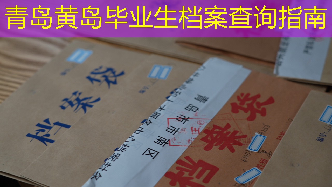 档案查询